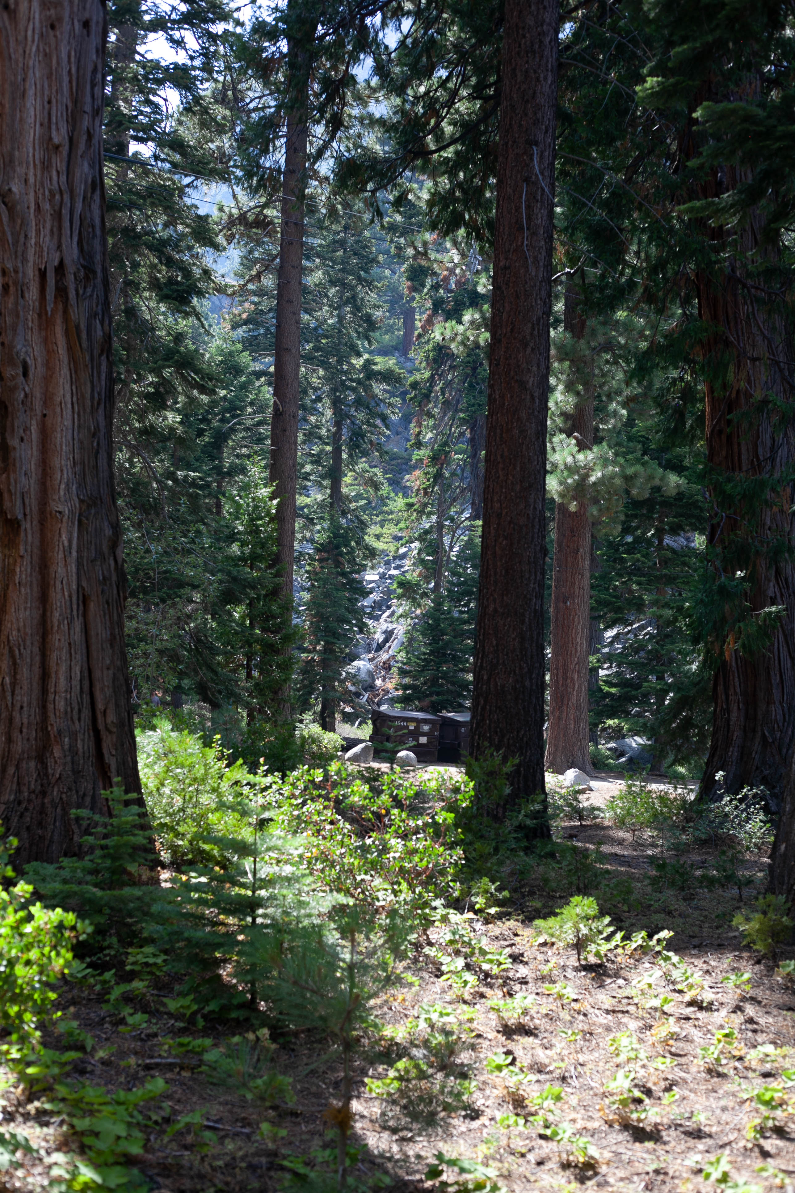 Lake Tahoe 377