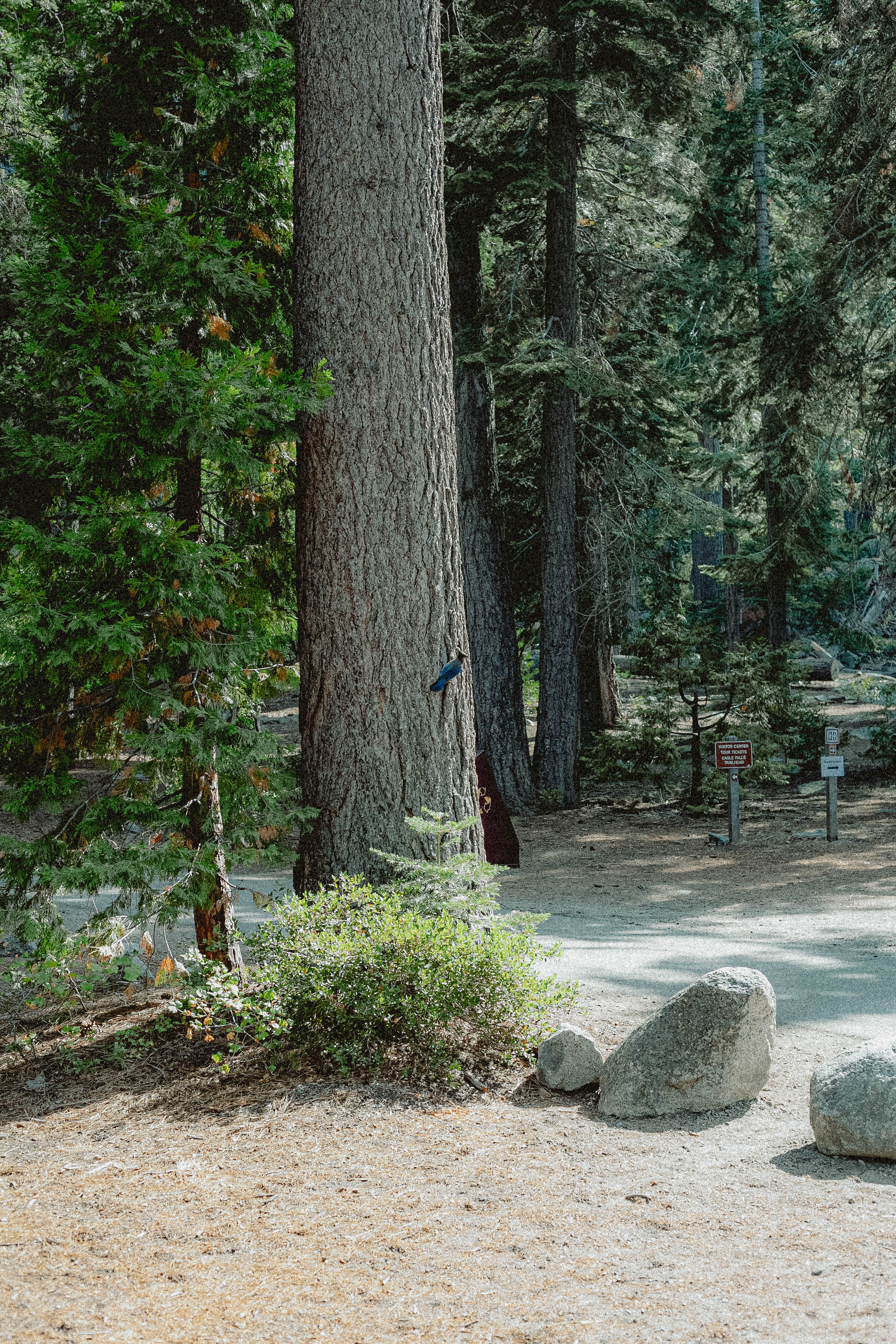 Lake Tahoe 380