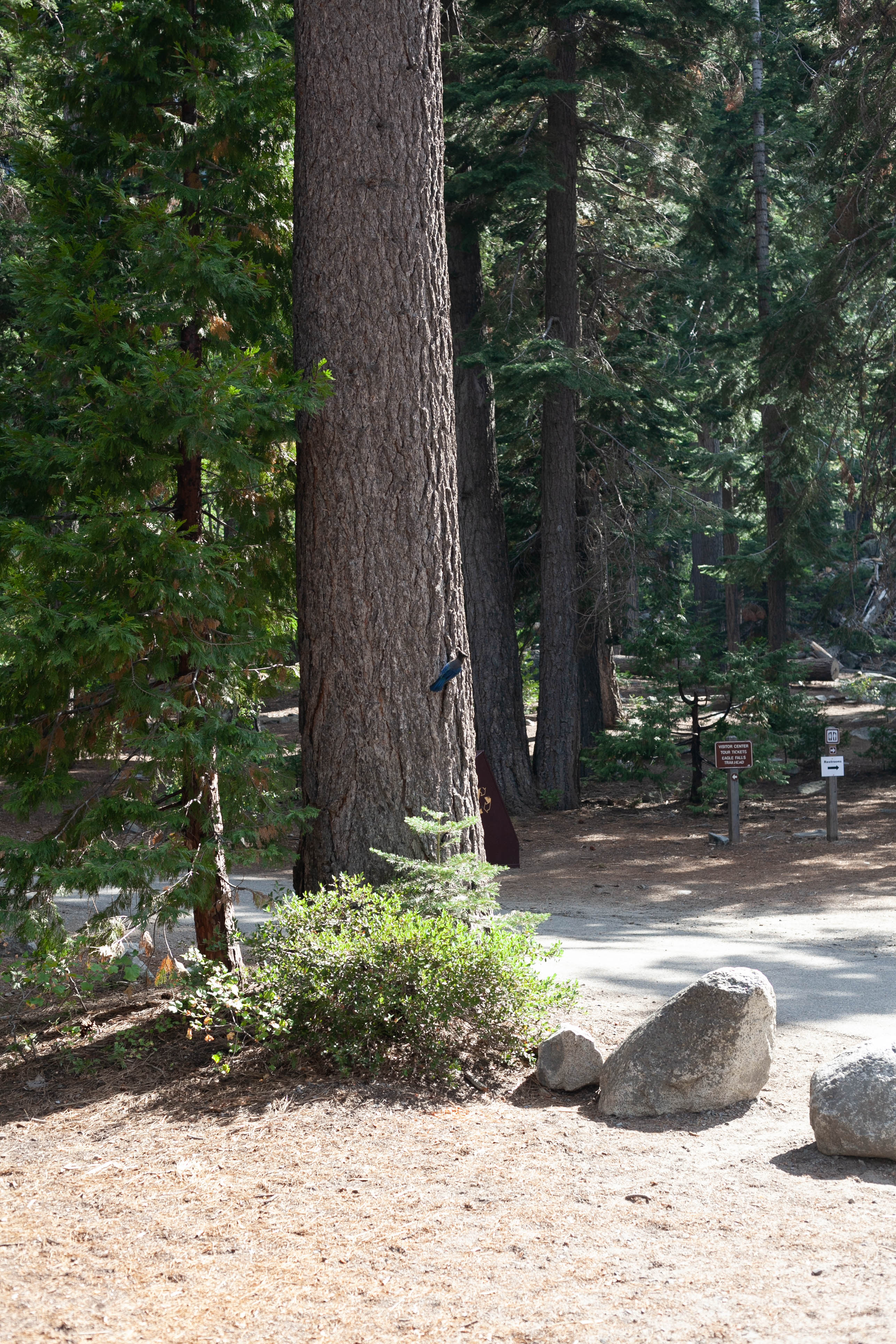 Lake Tahoe 379