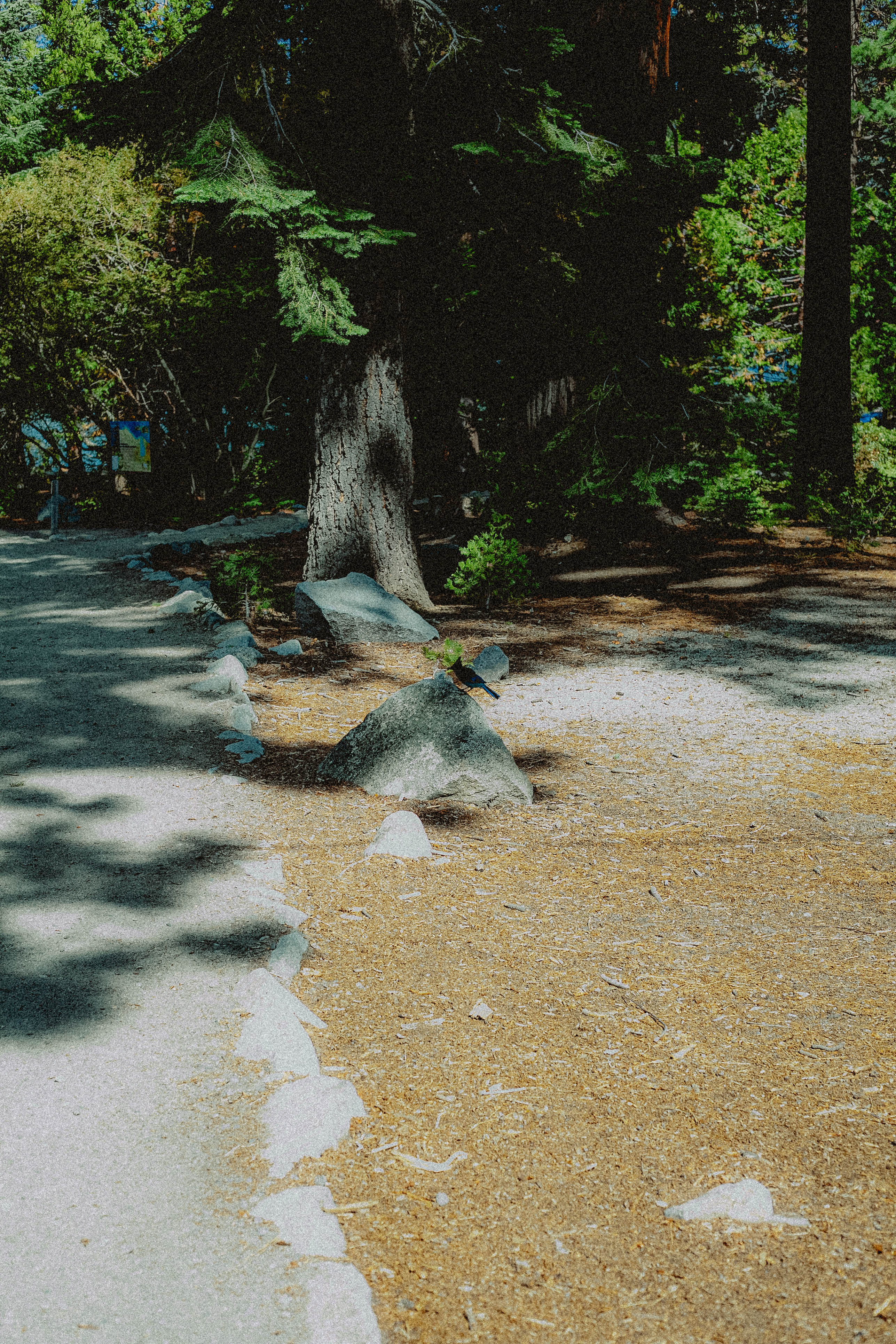 Lake Tahoe 384