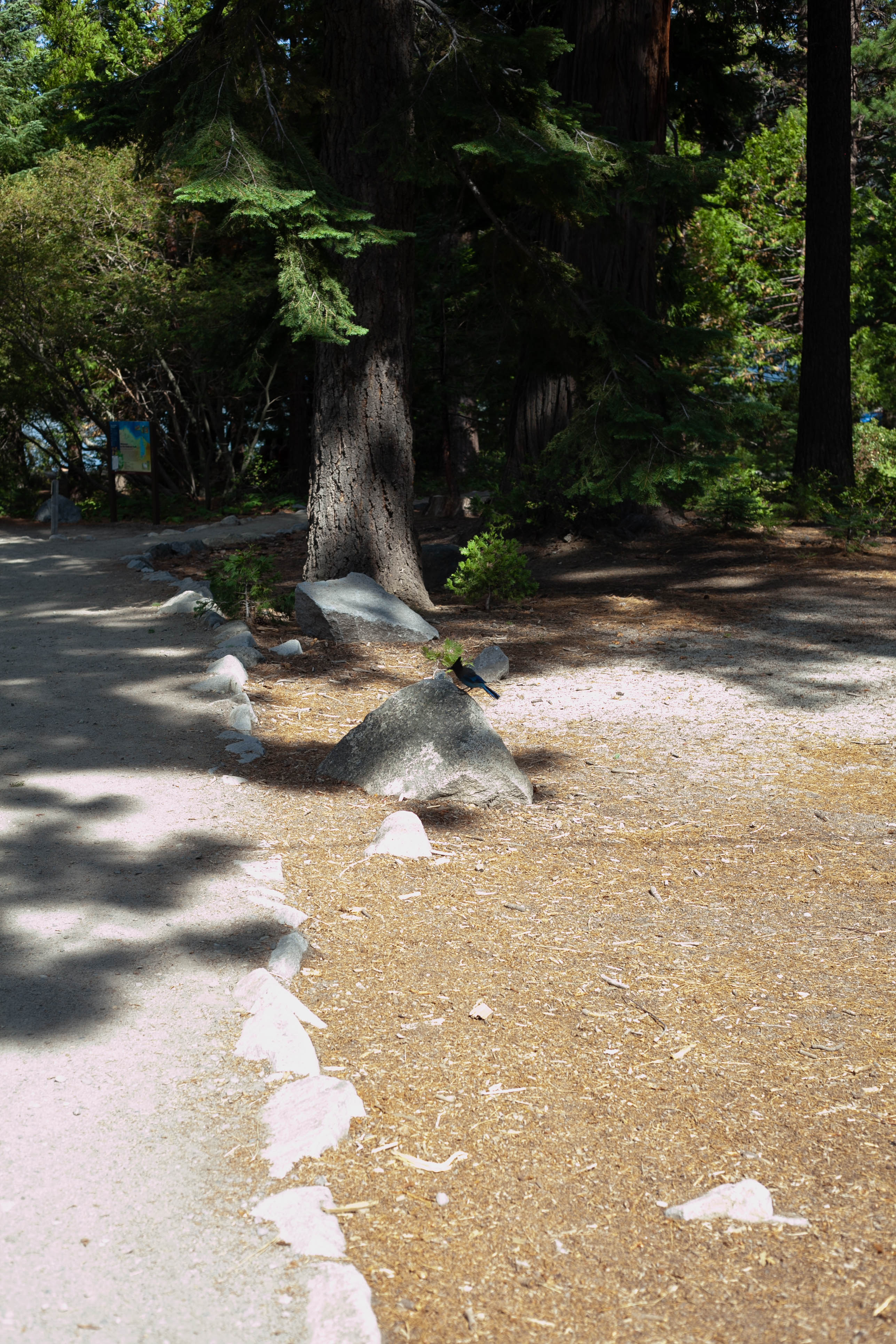 Lake Tahoe 383