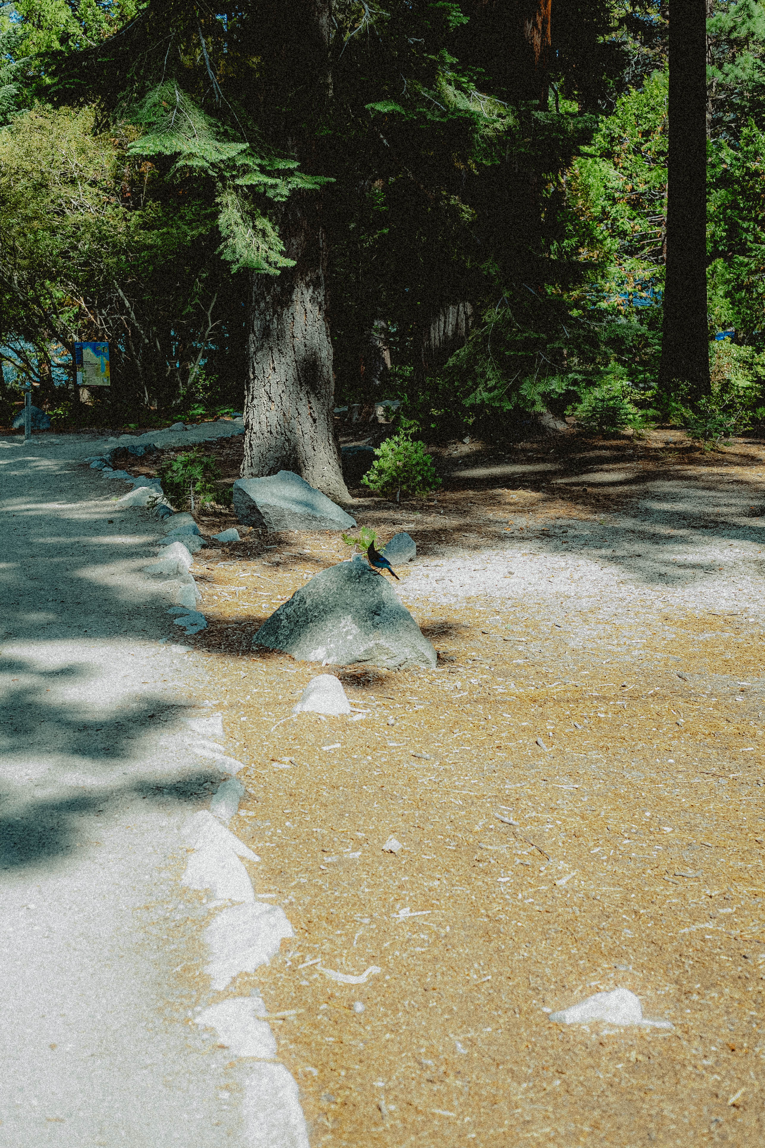 Lake Tahoe 386