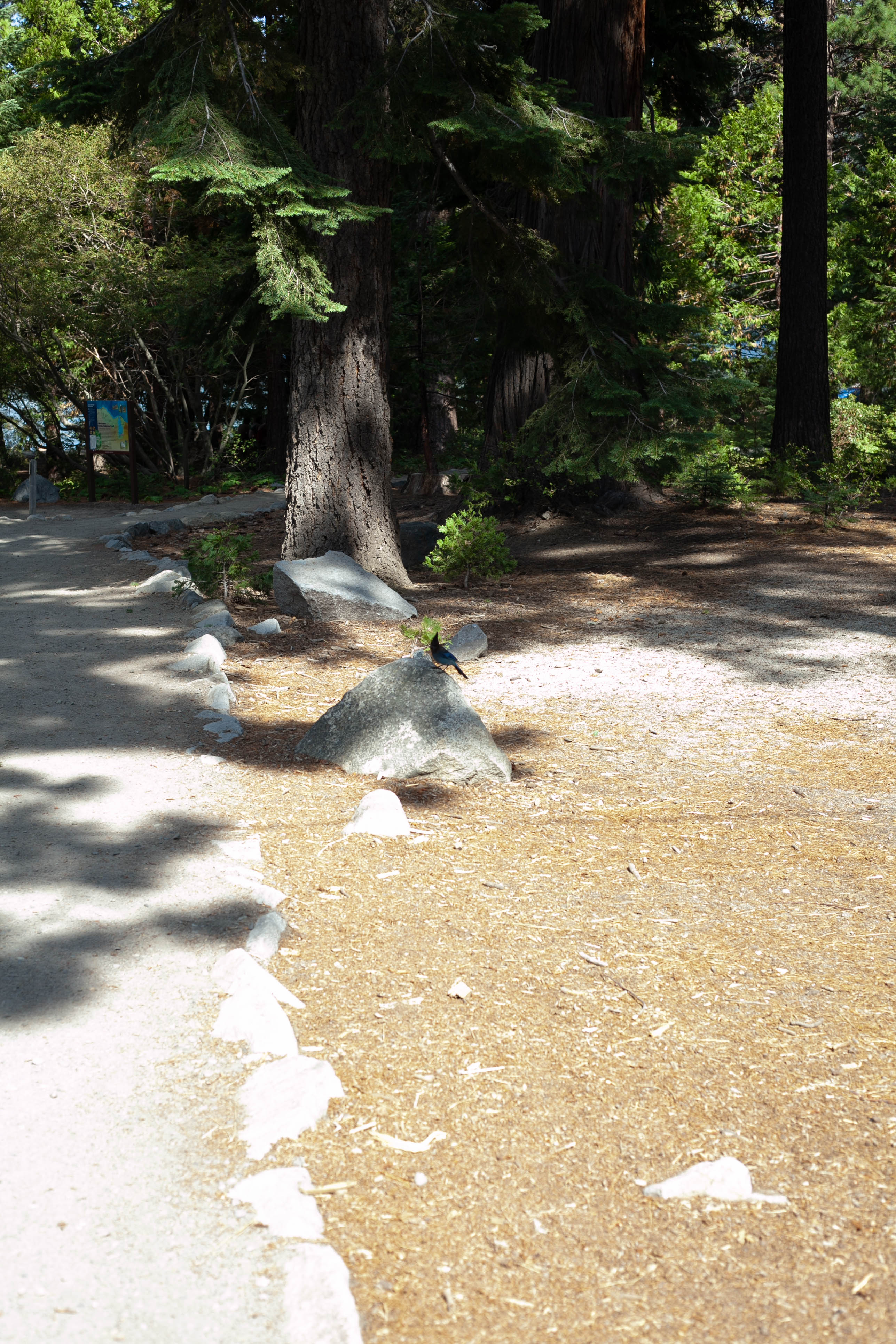 Lake Tahoe 385