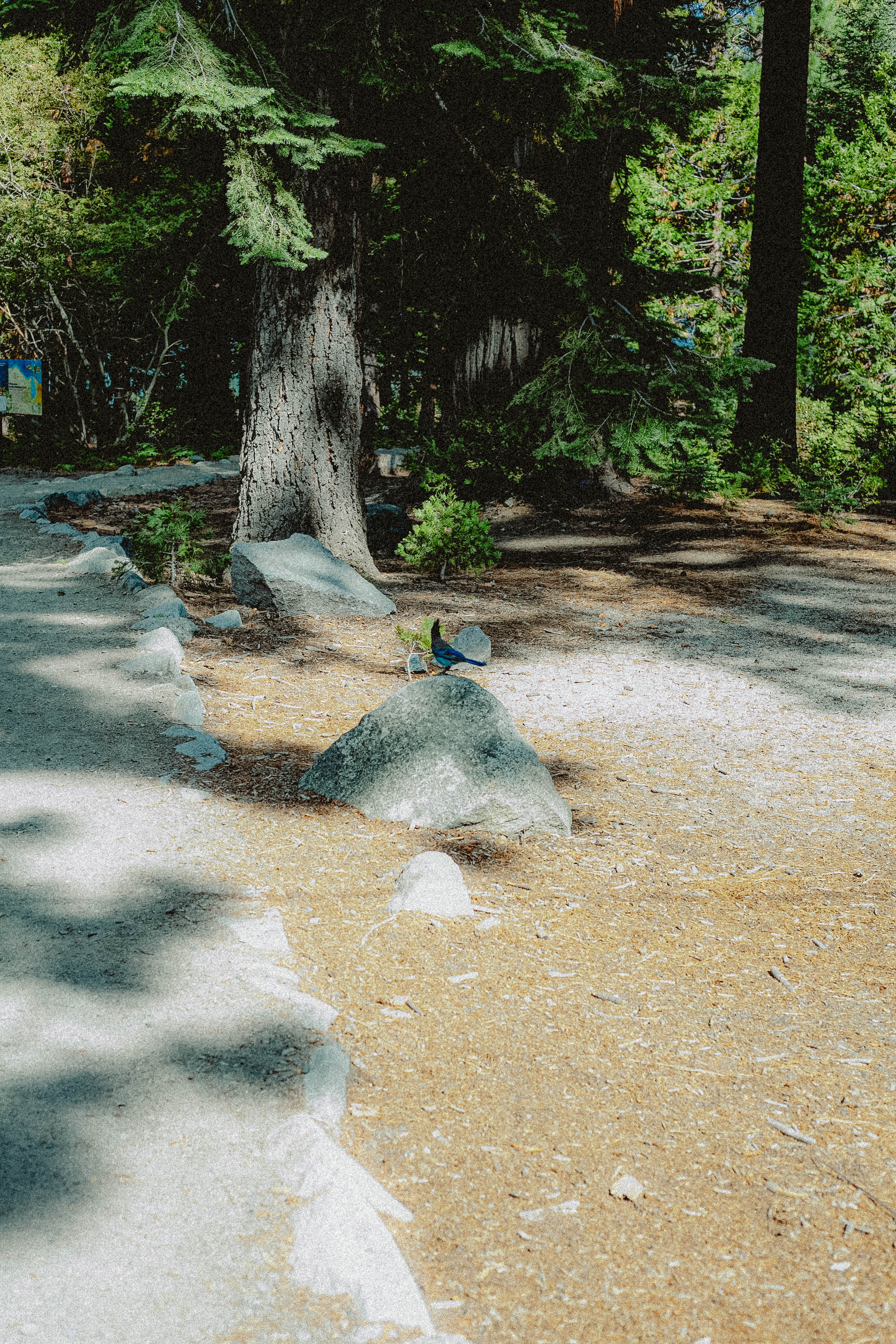 Lake Tahoe 388