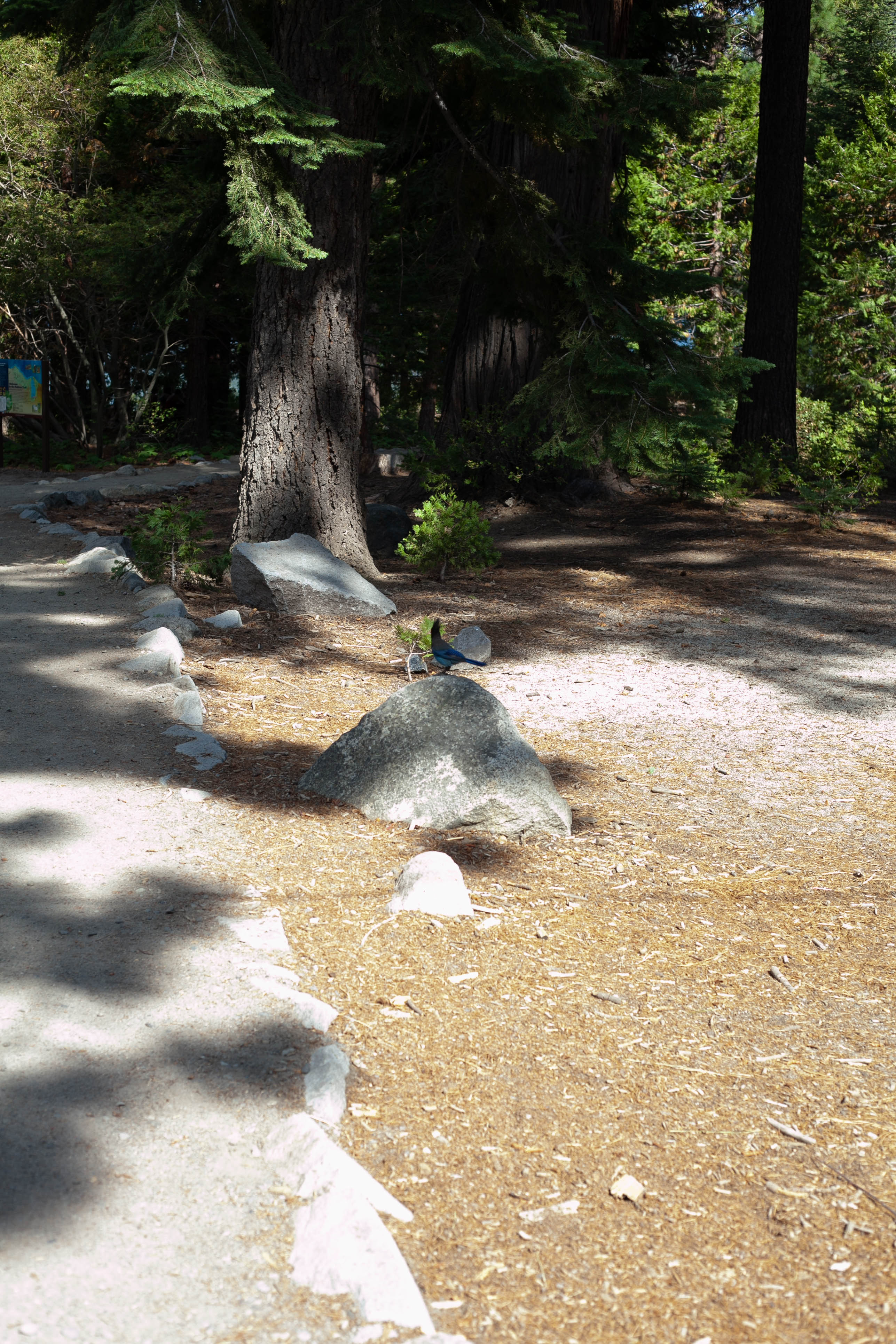 Lake Tahoe 387