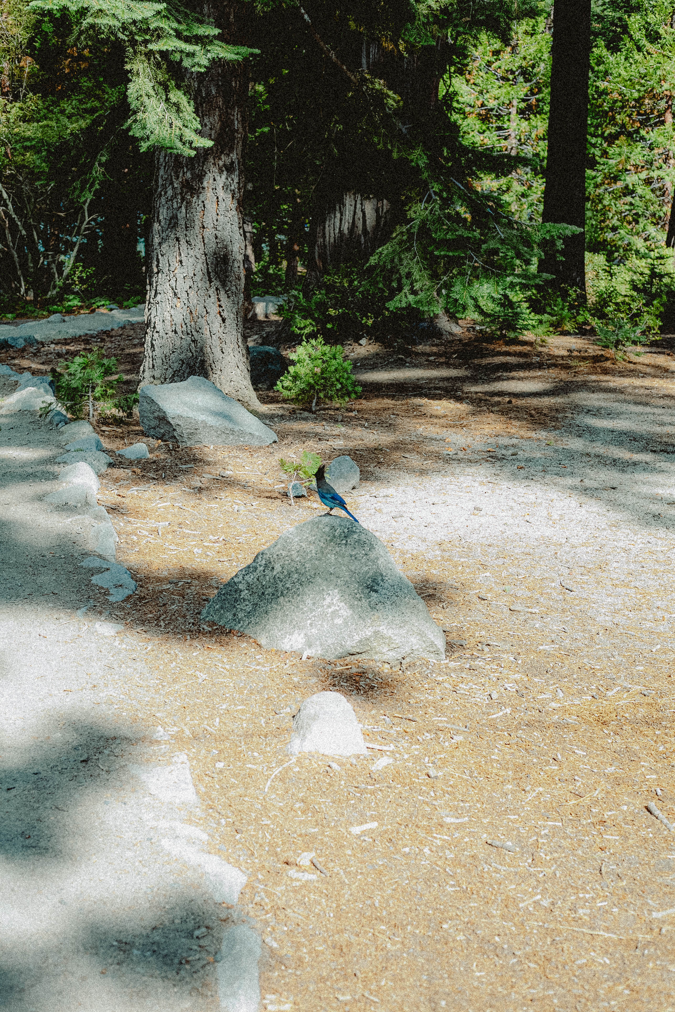 Lake Tahoe 390