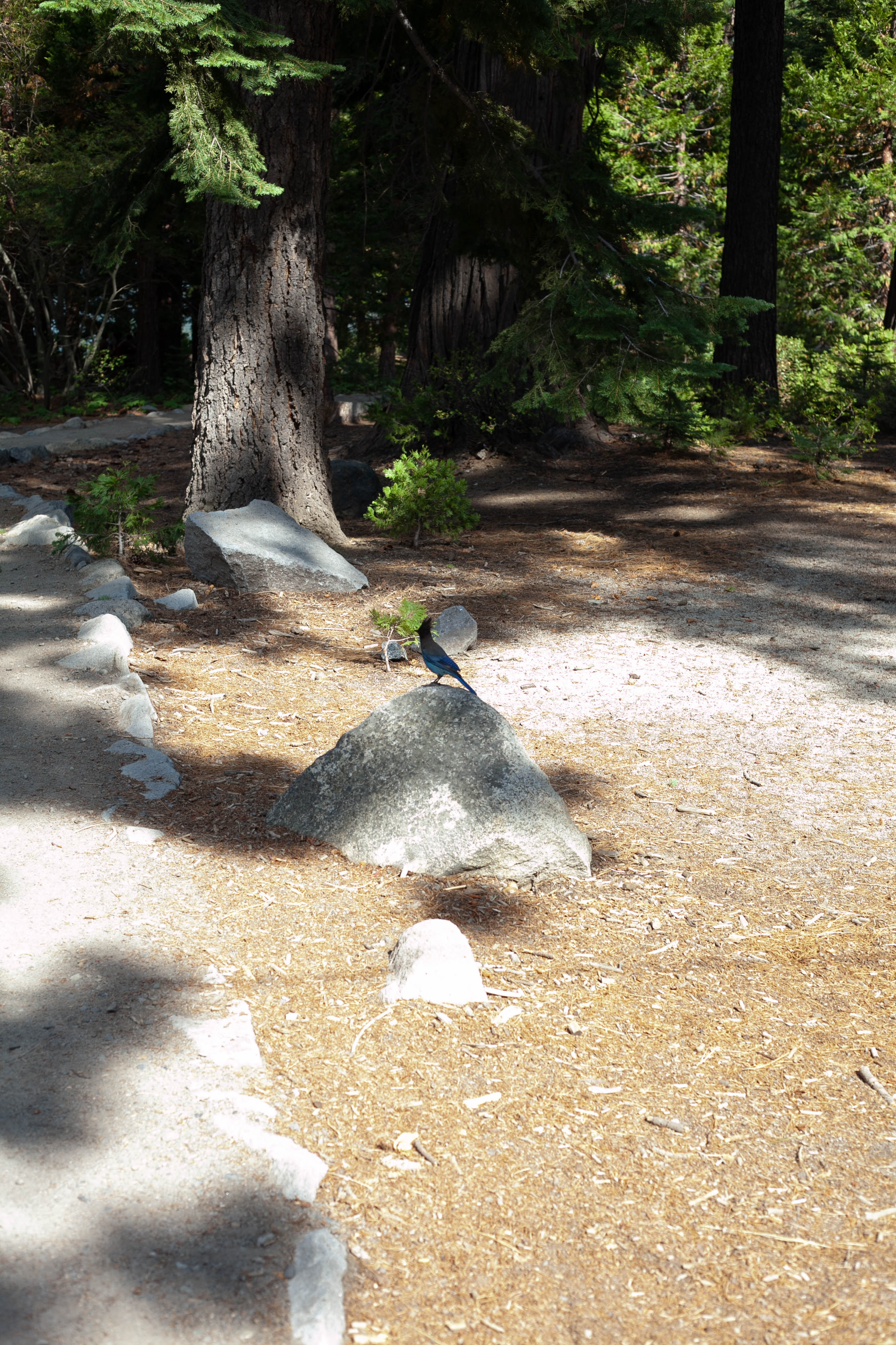 Lake Tahoe 389