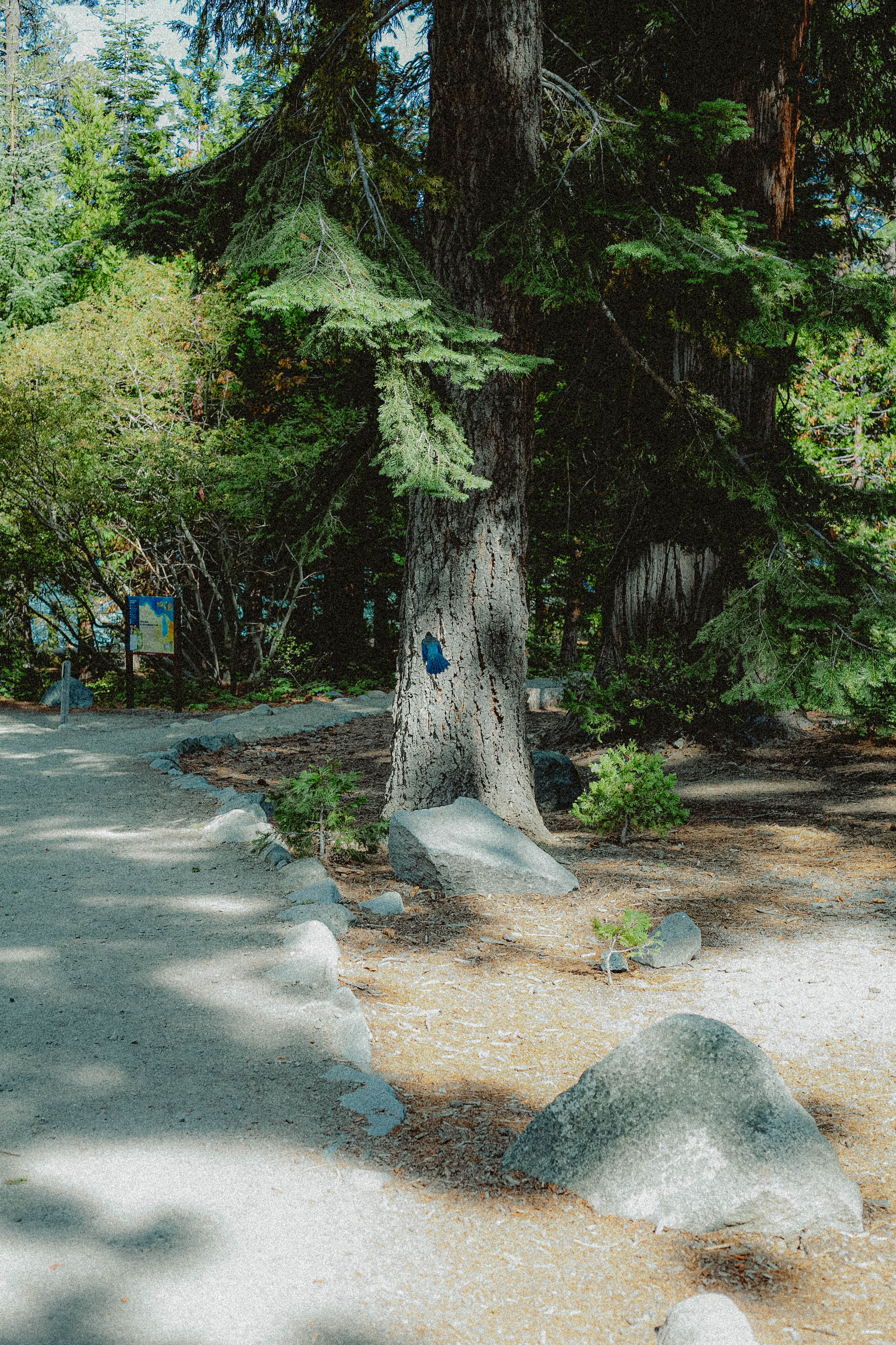 Lake Tahoe 394