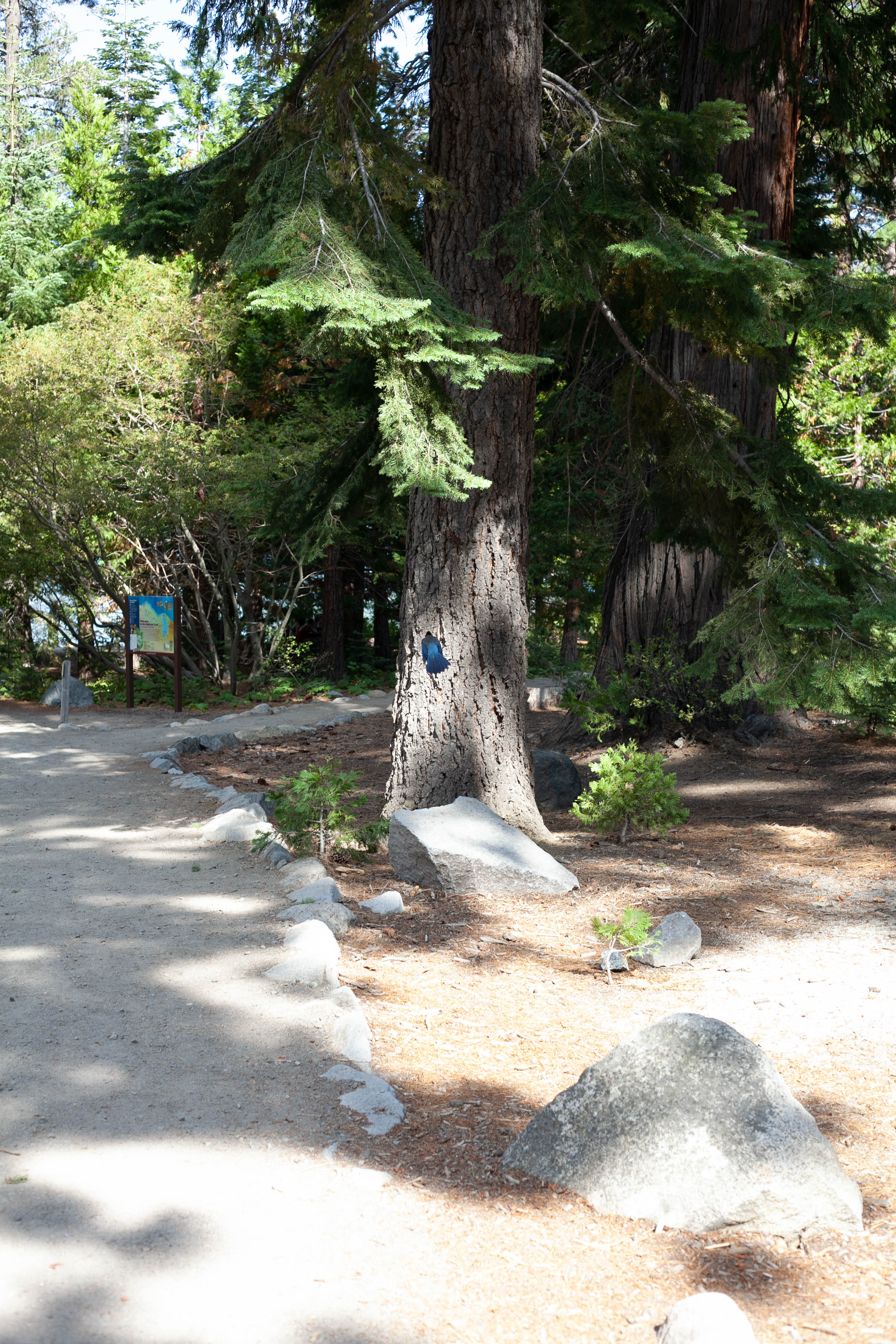 Lake Tahoe 393