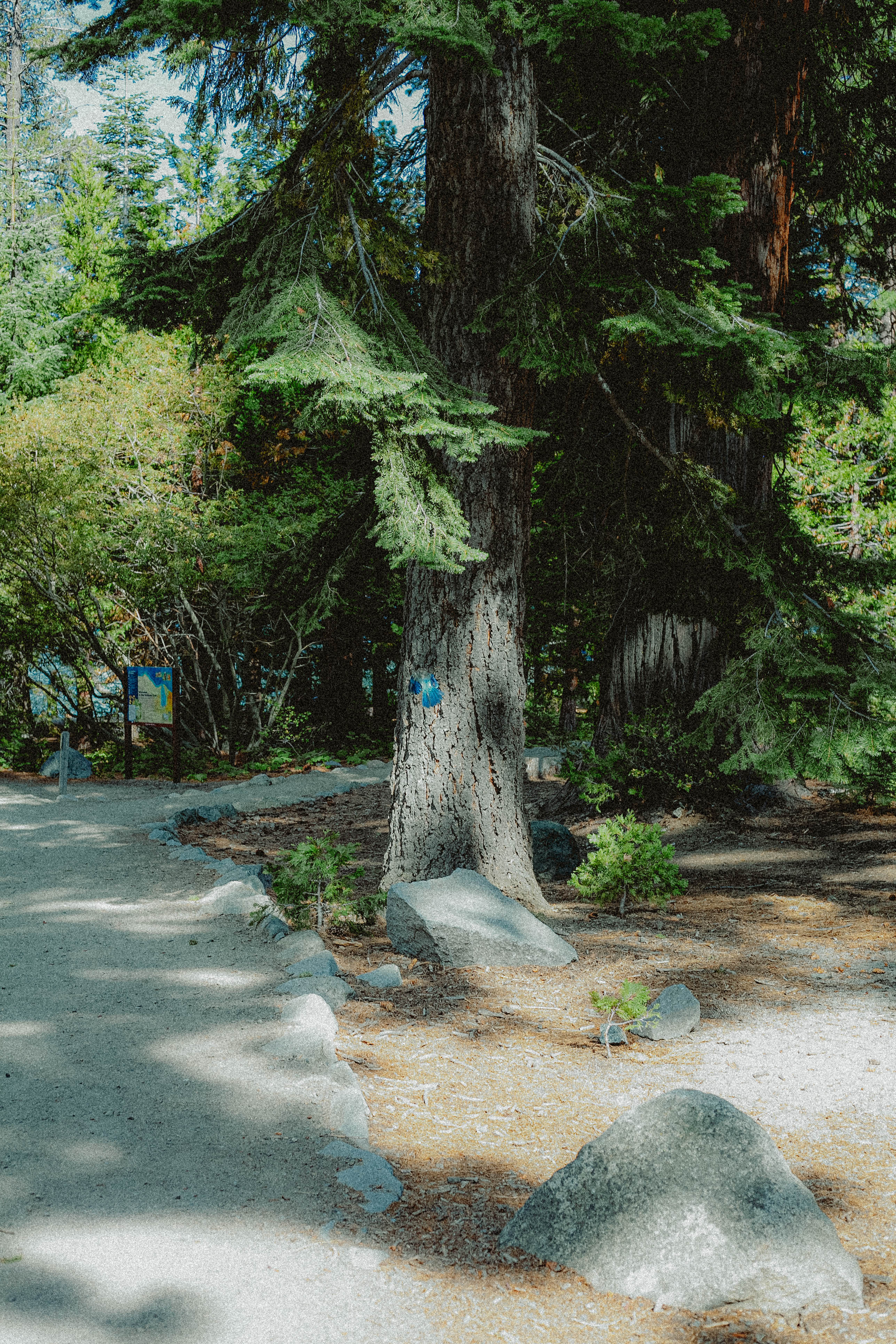 Lake Tahoe 396