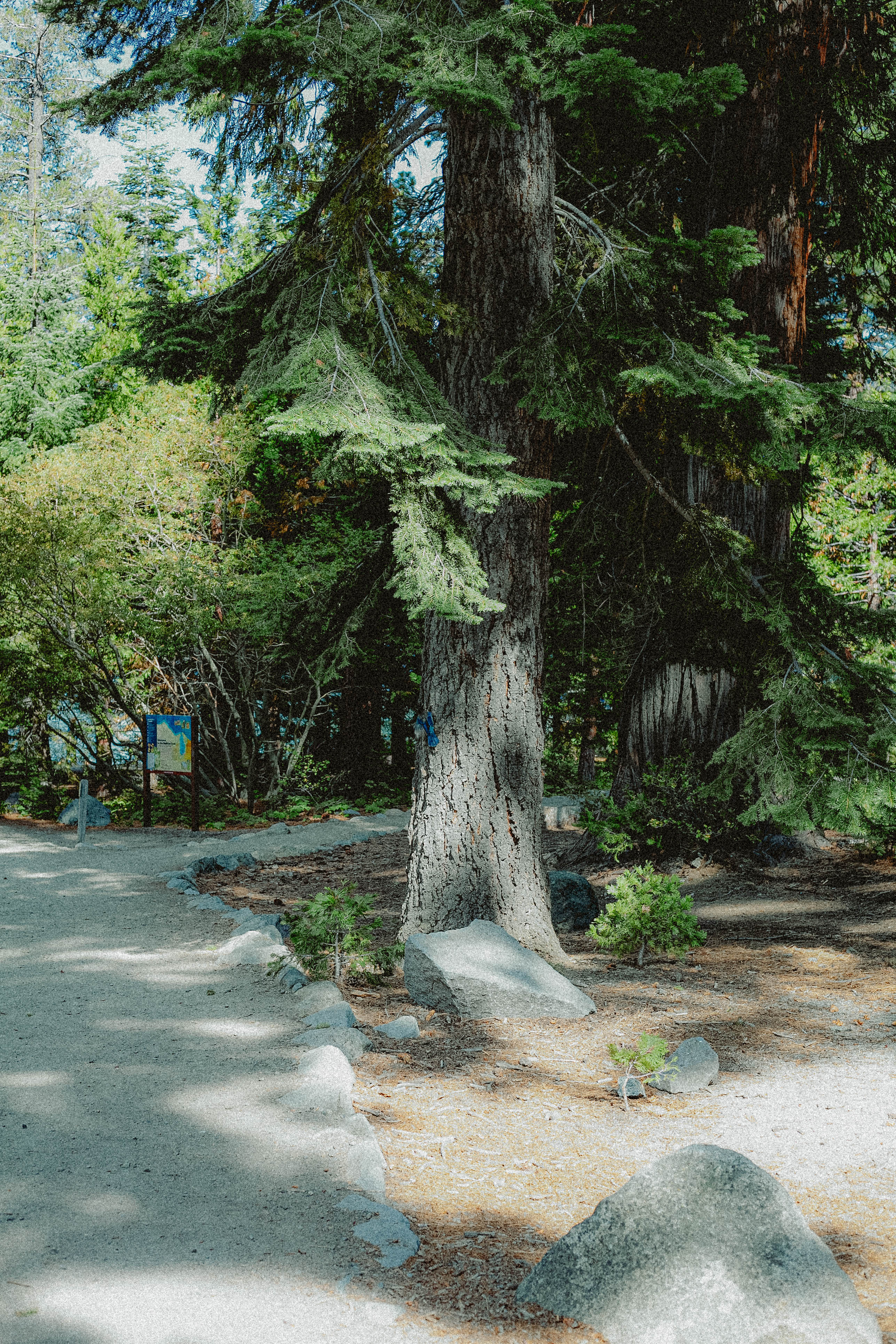 Lake Tahoe 398
