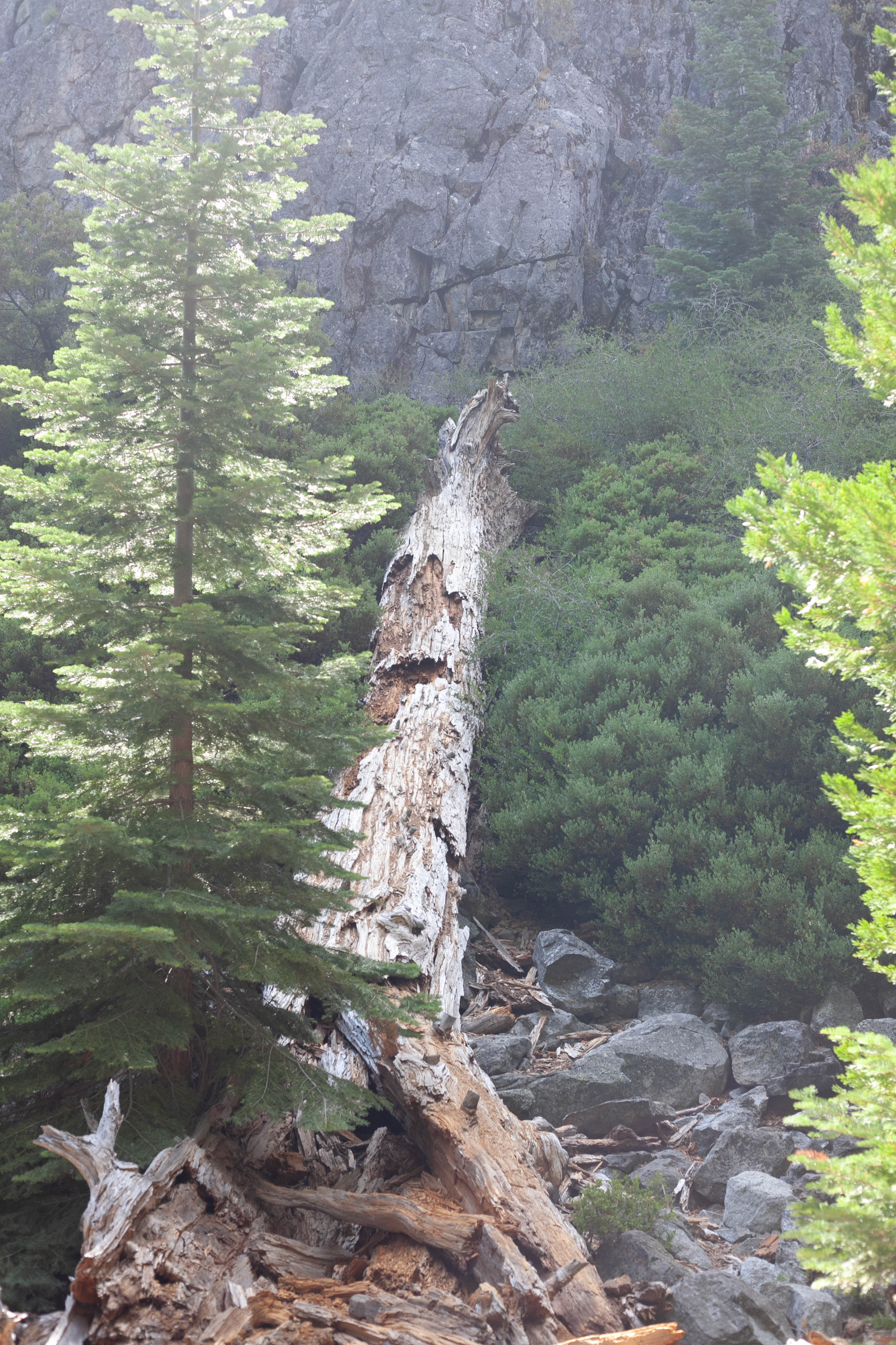 Lake Tahoe 409