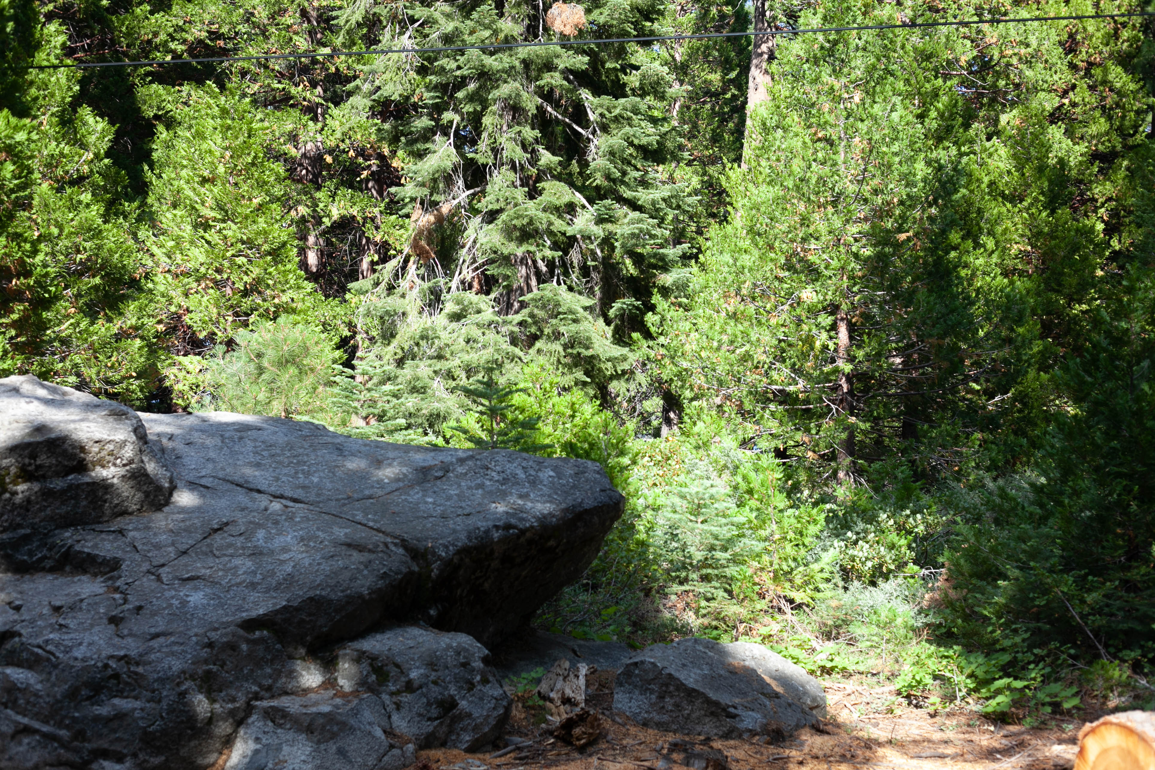 Lake Tahoe 411