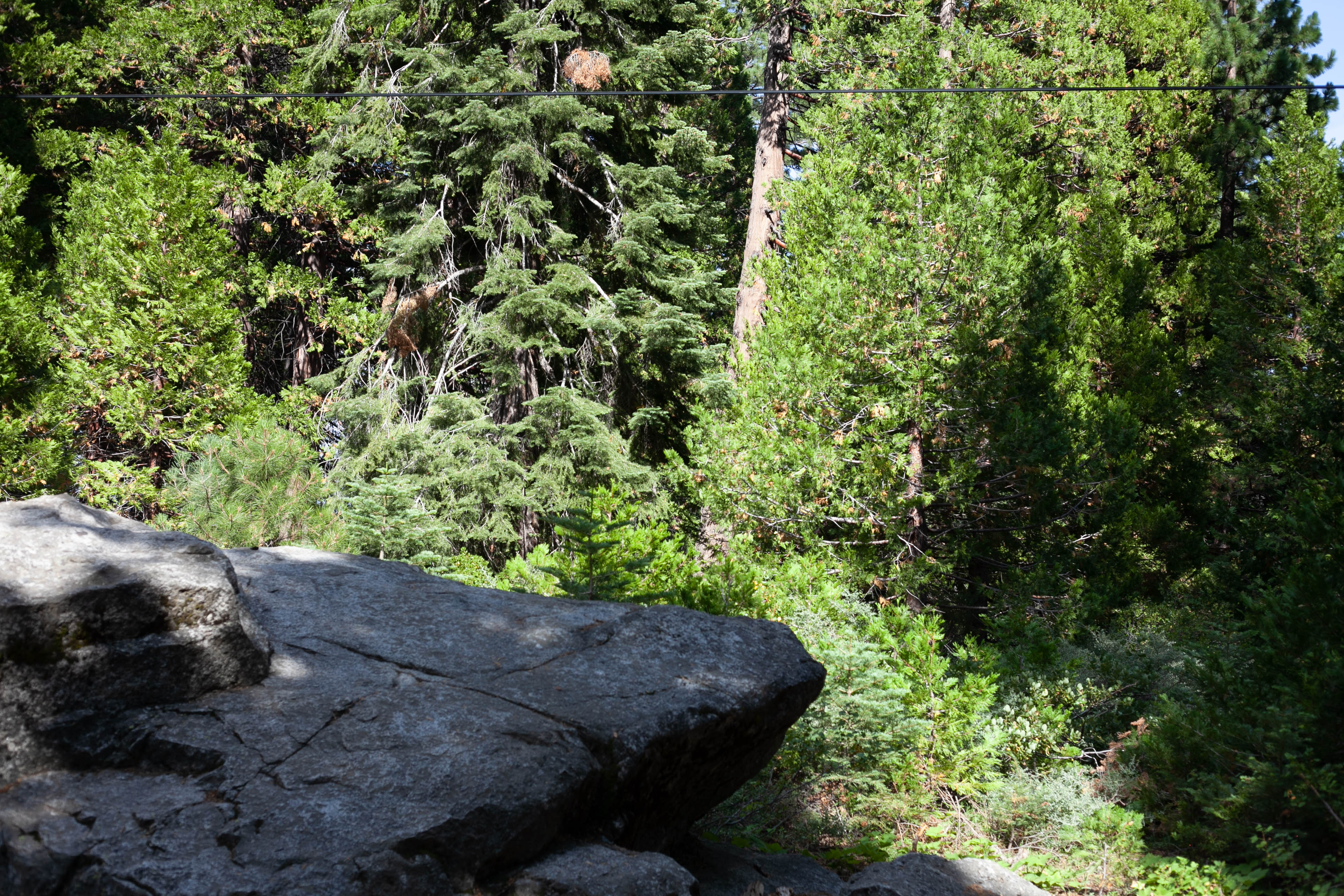 Lake Tahoe 413