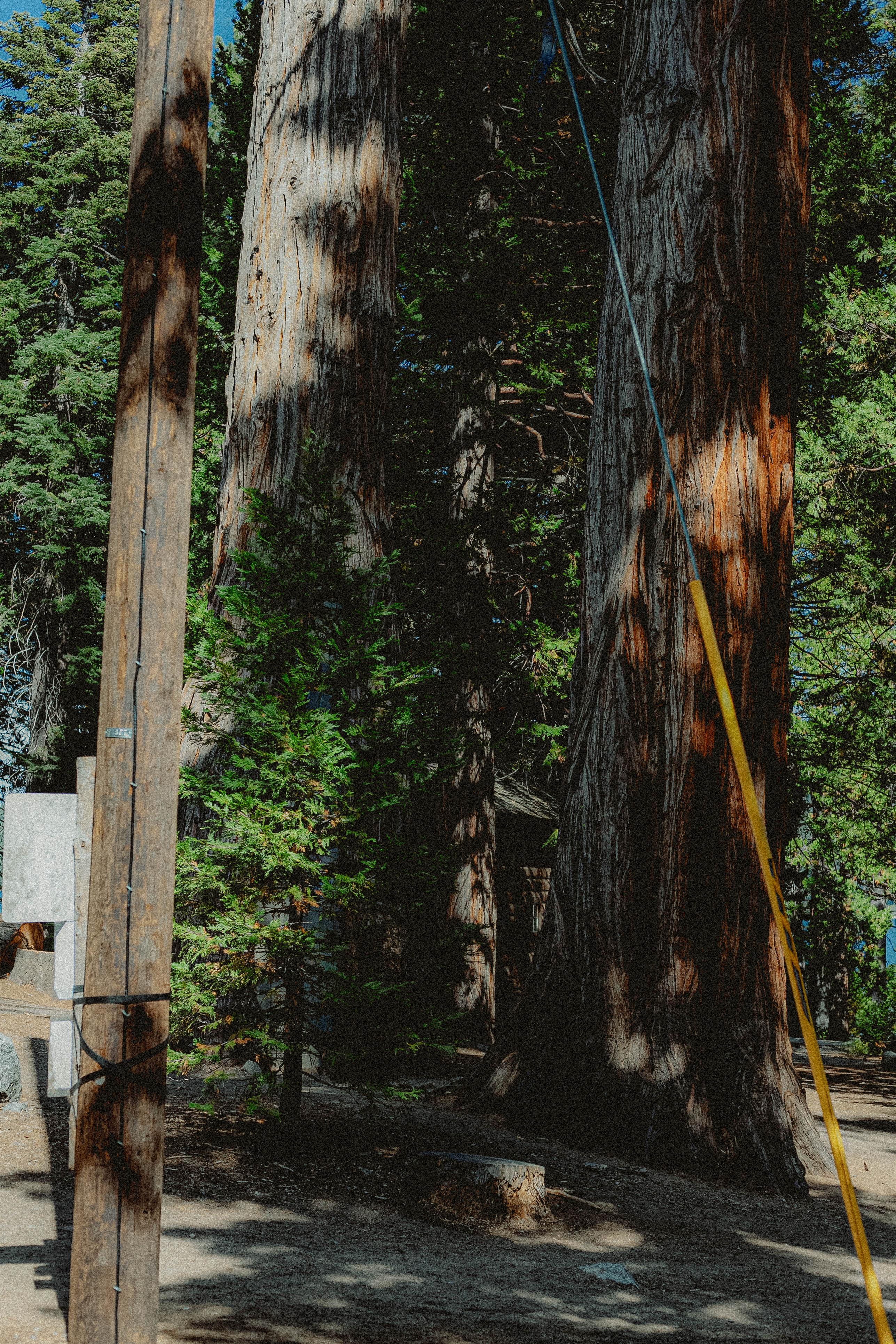 Lake Tahoe 416