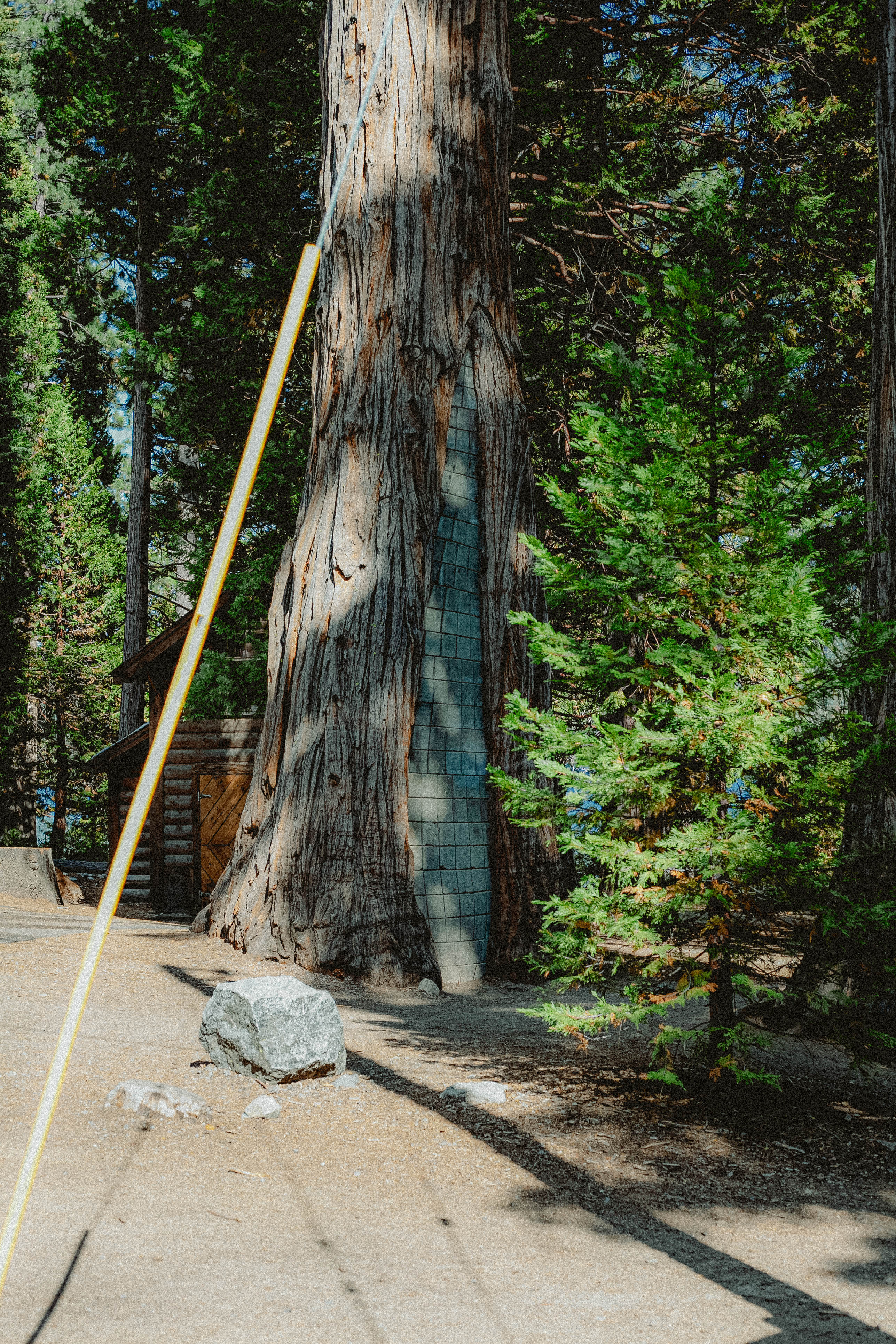 Lake Tahoe 418