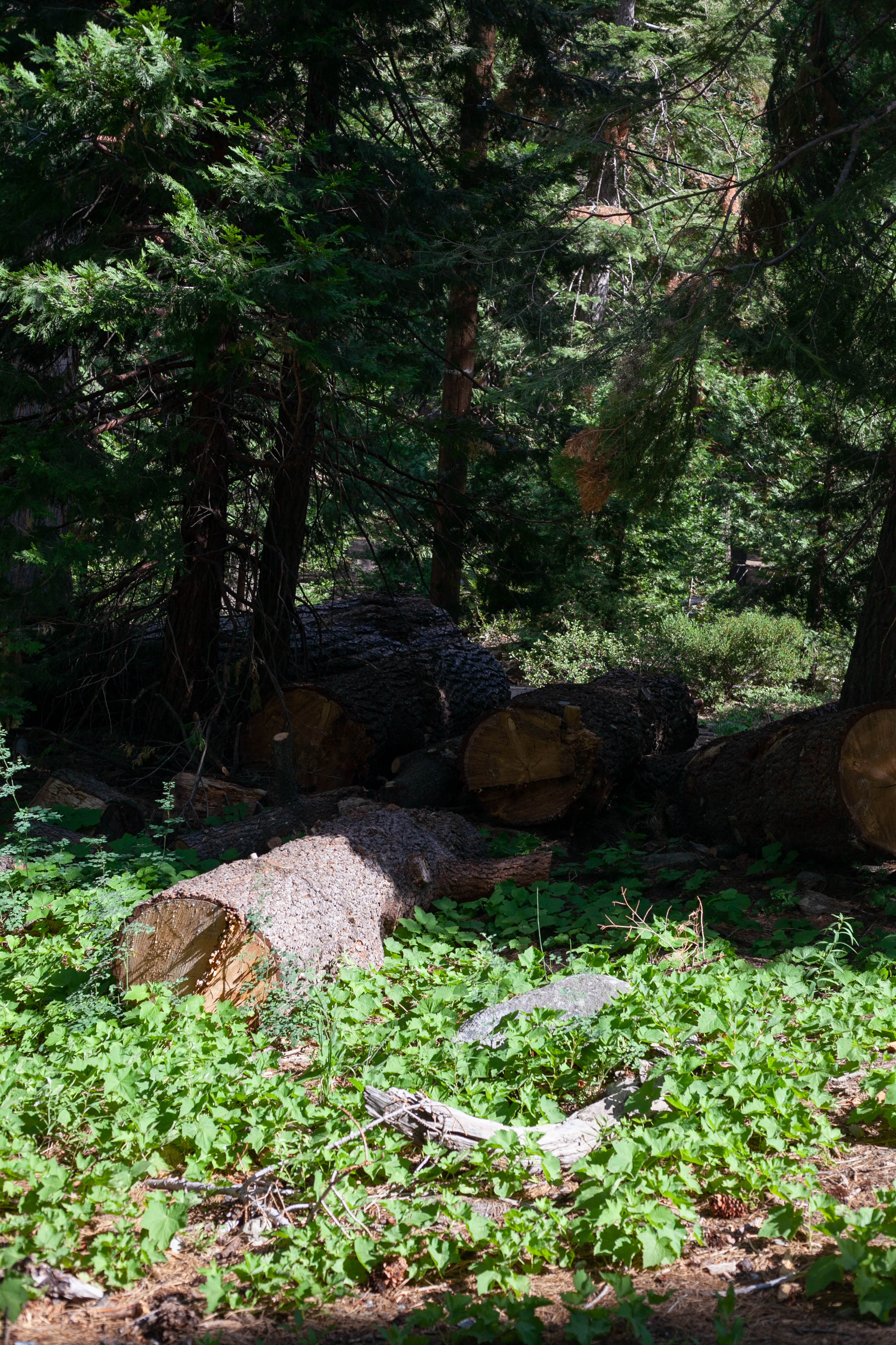 Lake Tahoe 419