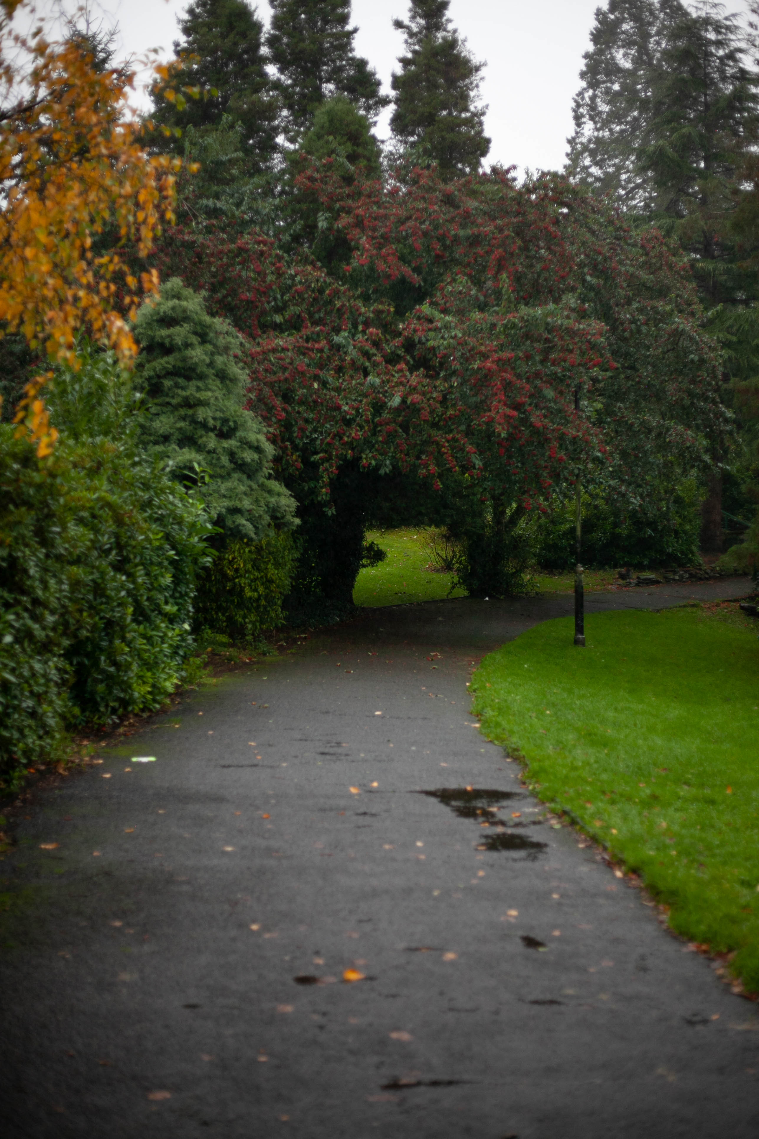 Edinburgh 33
