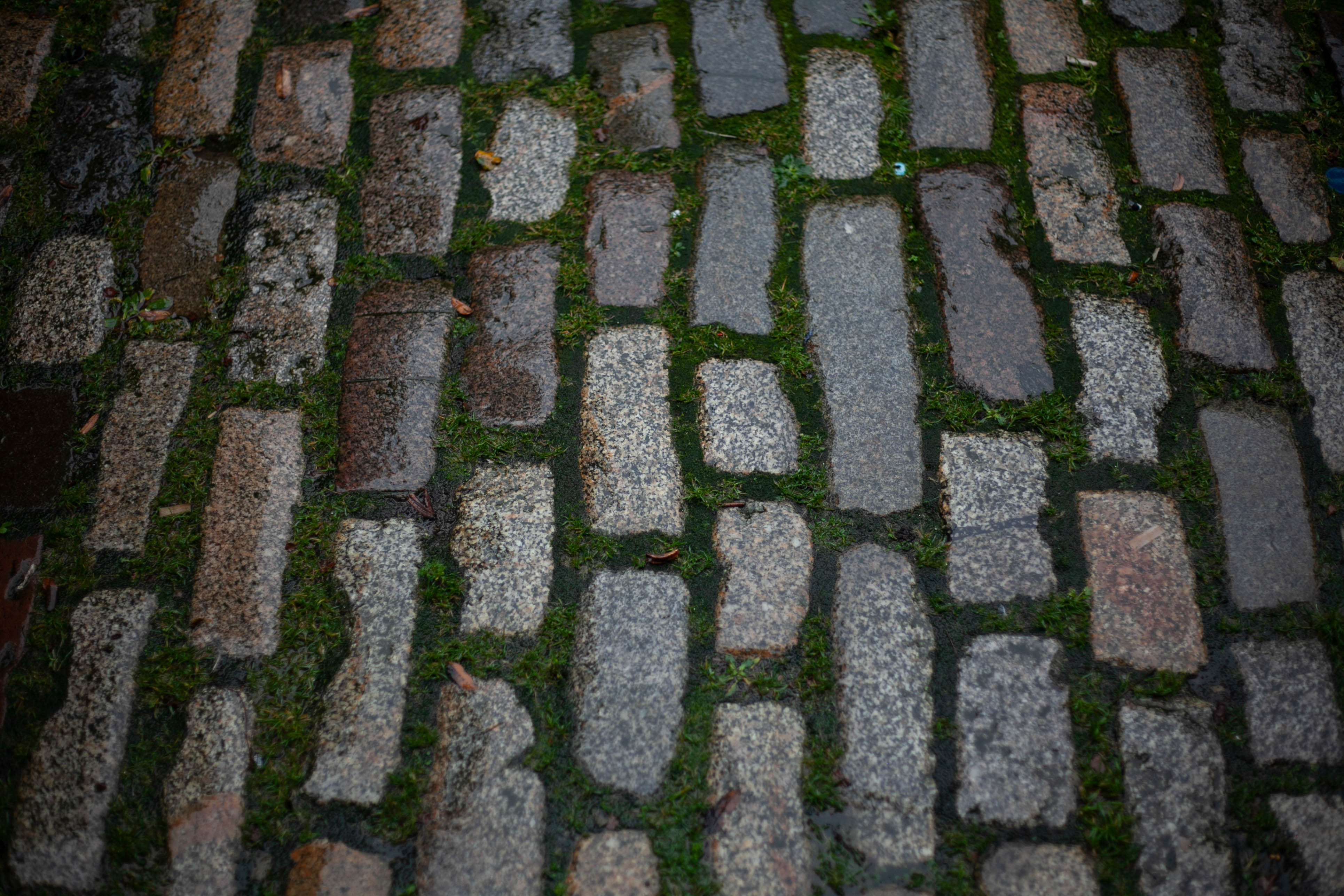 Edinburgh 111
