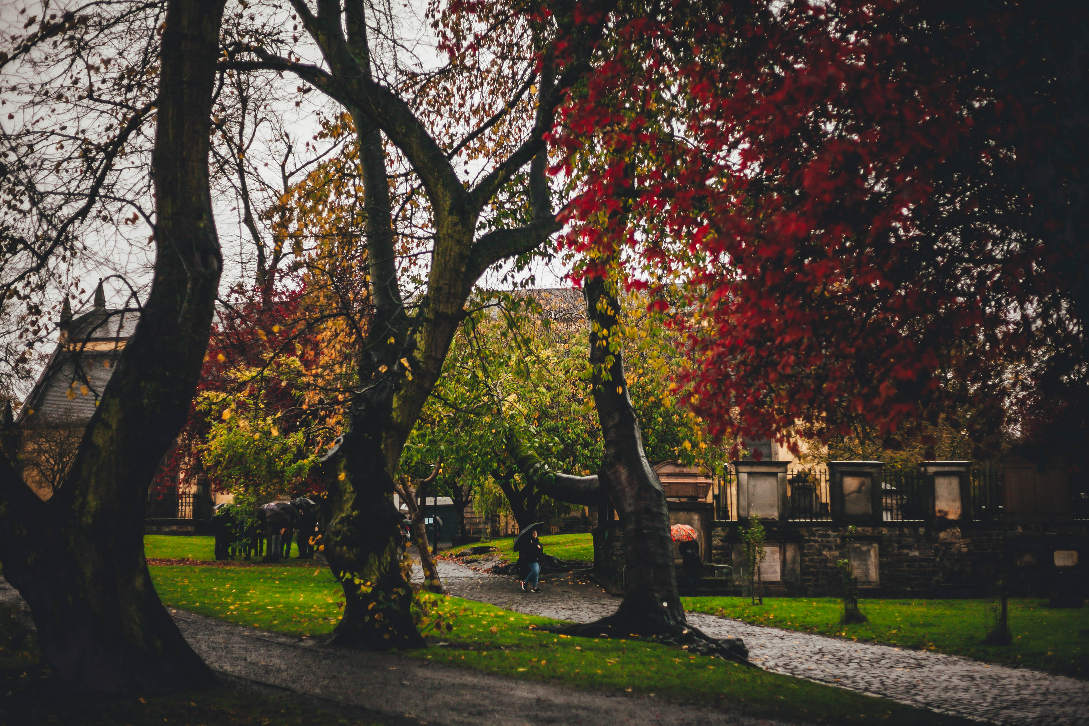 Edinburgh 155