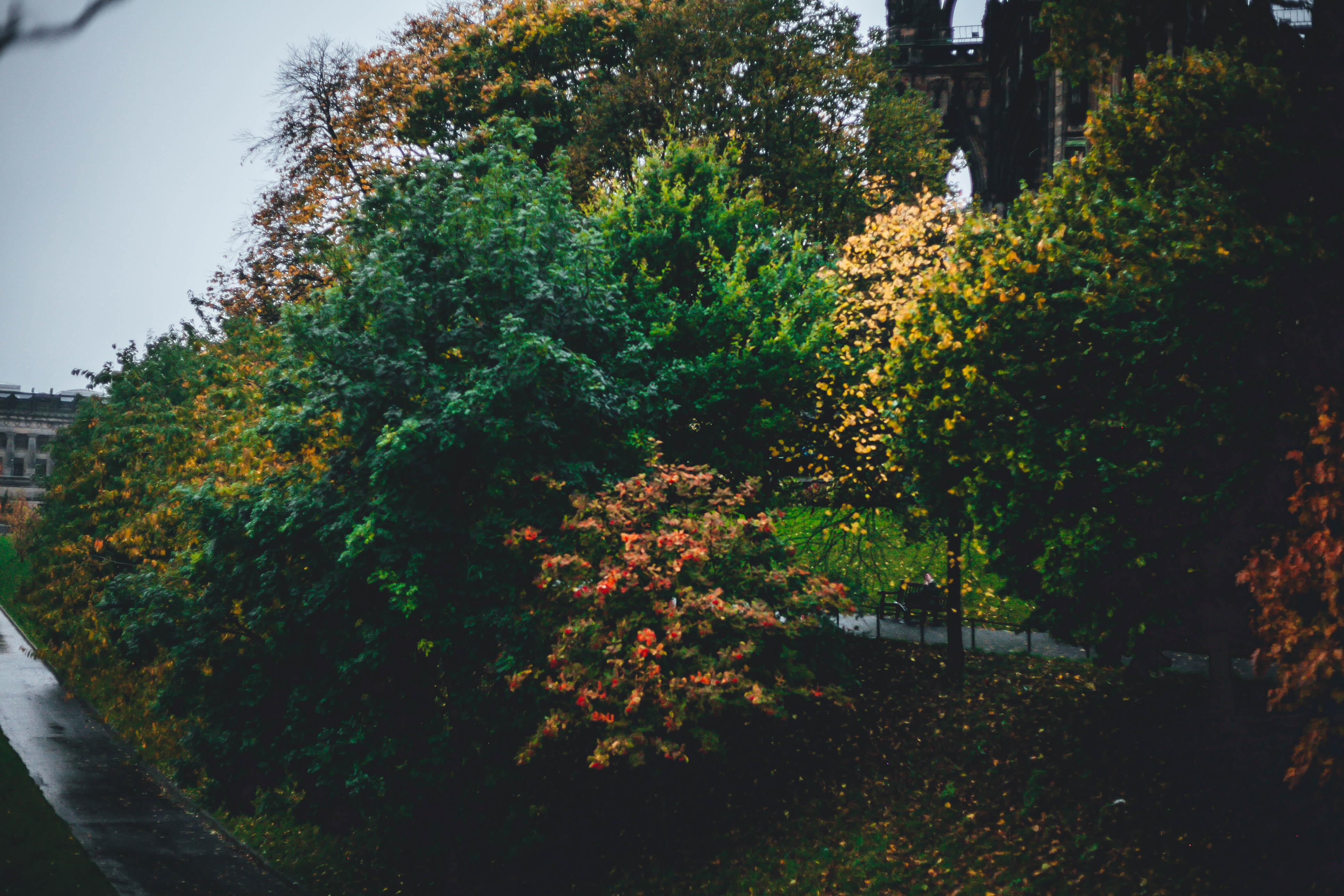 Edinburgh 230
