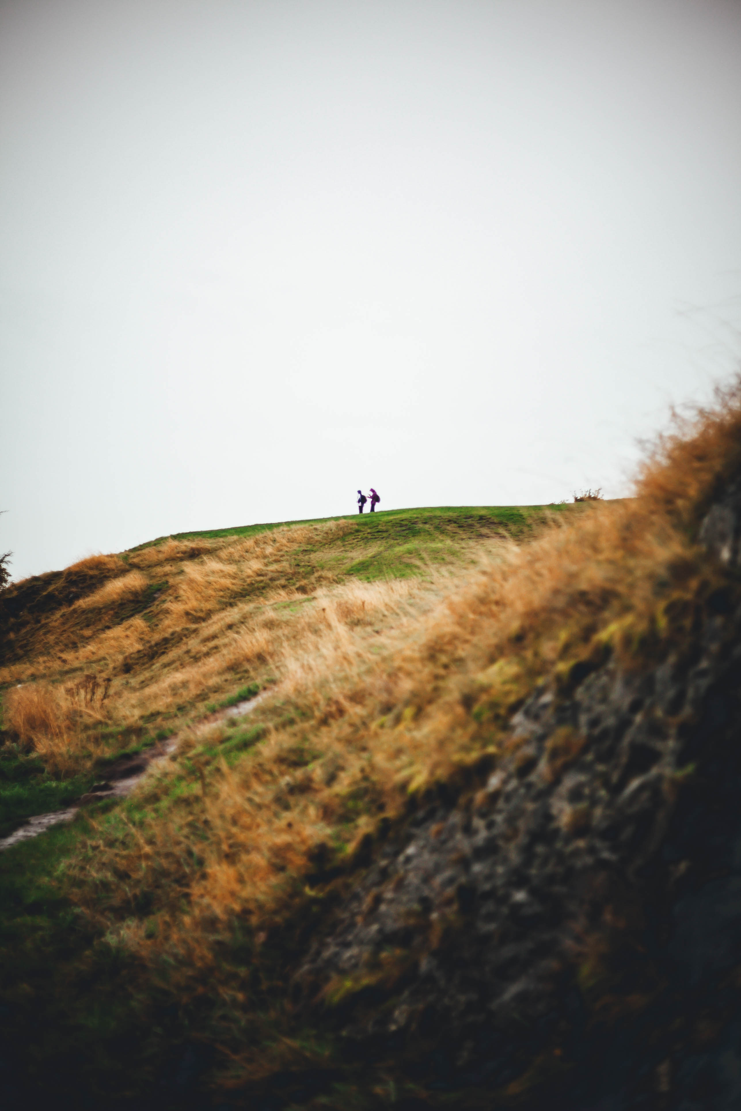 Edinburgh 313