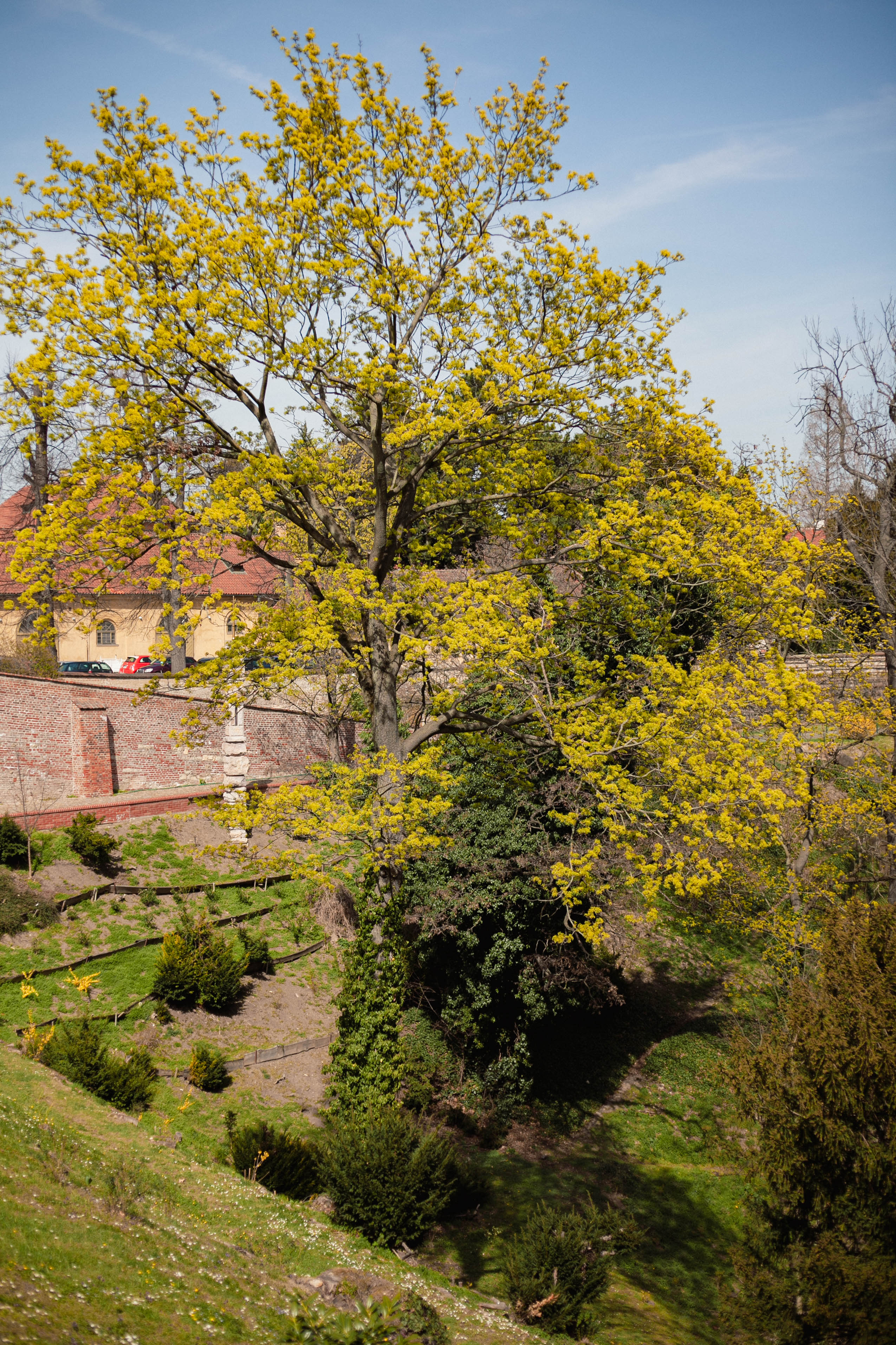 Prague 236