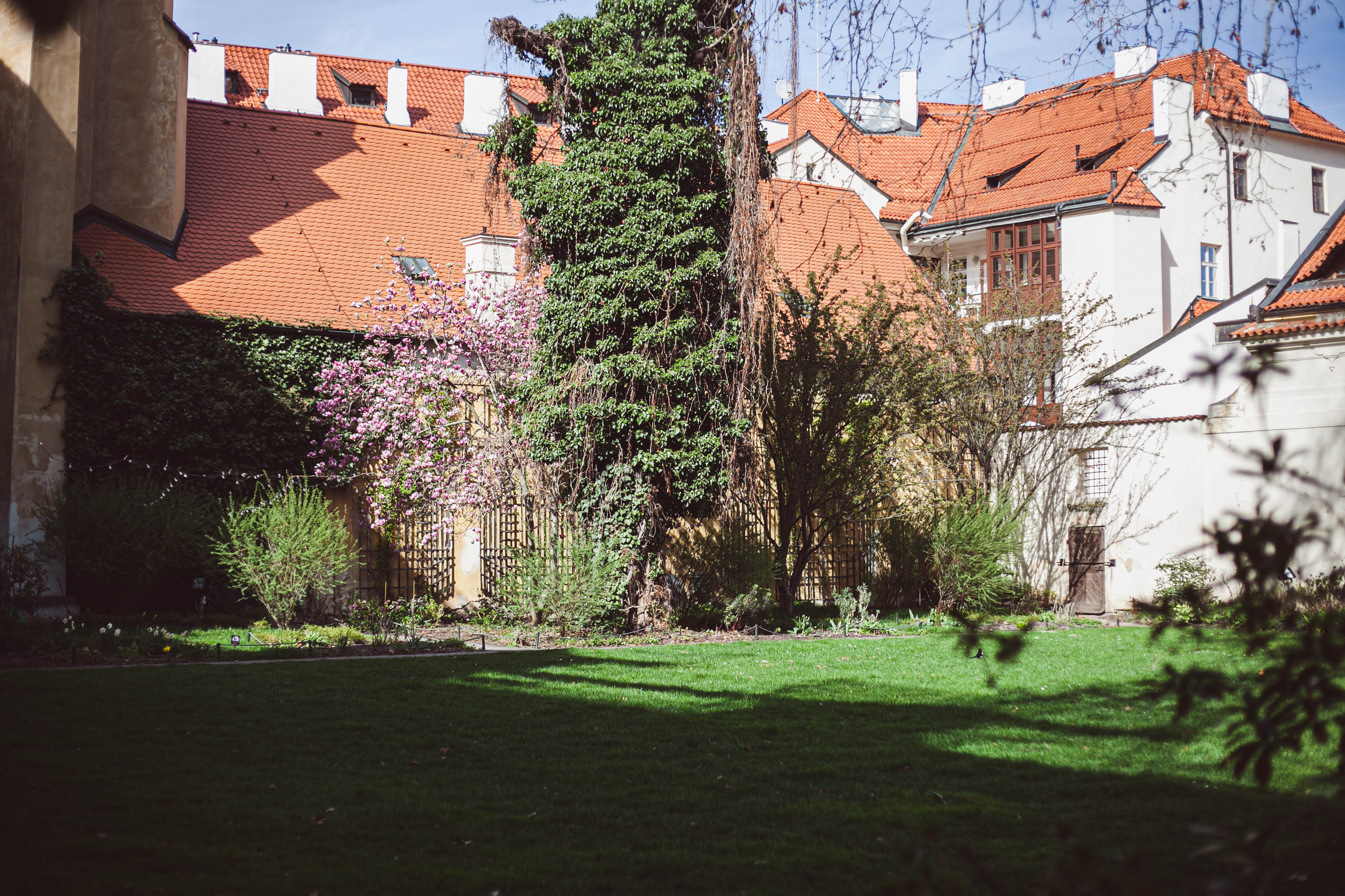 Prague 294