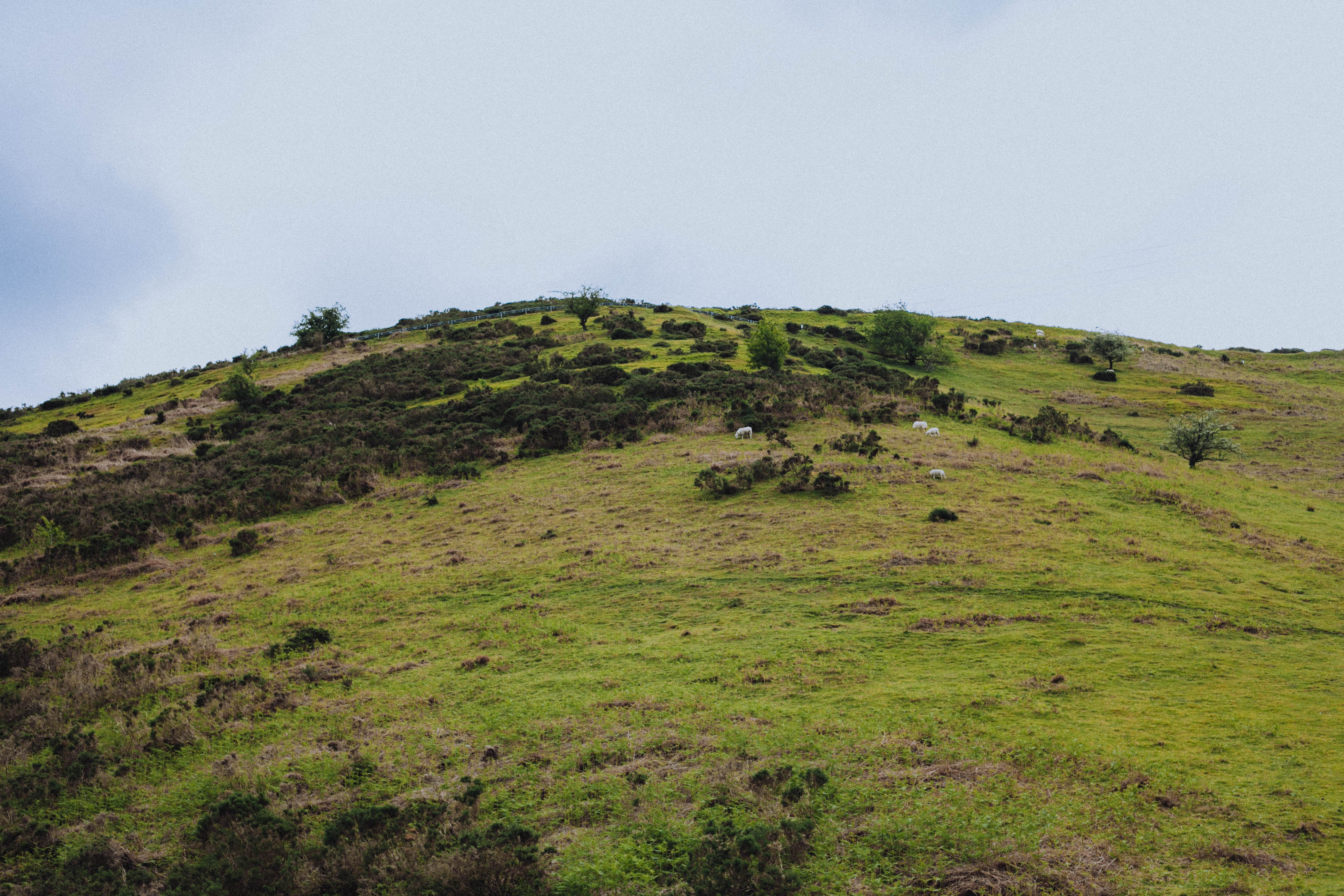 Shropshire Hills 1