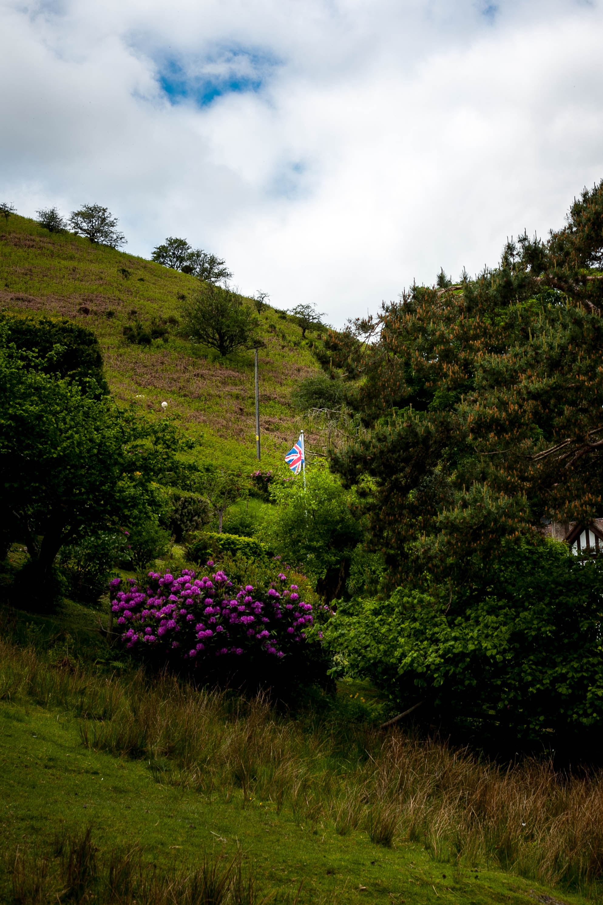 Shropshire Hills 4
