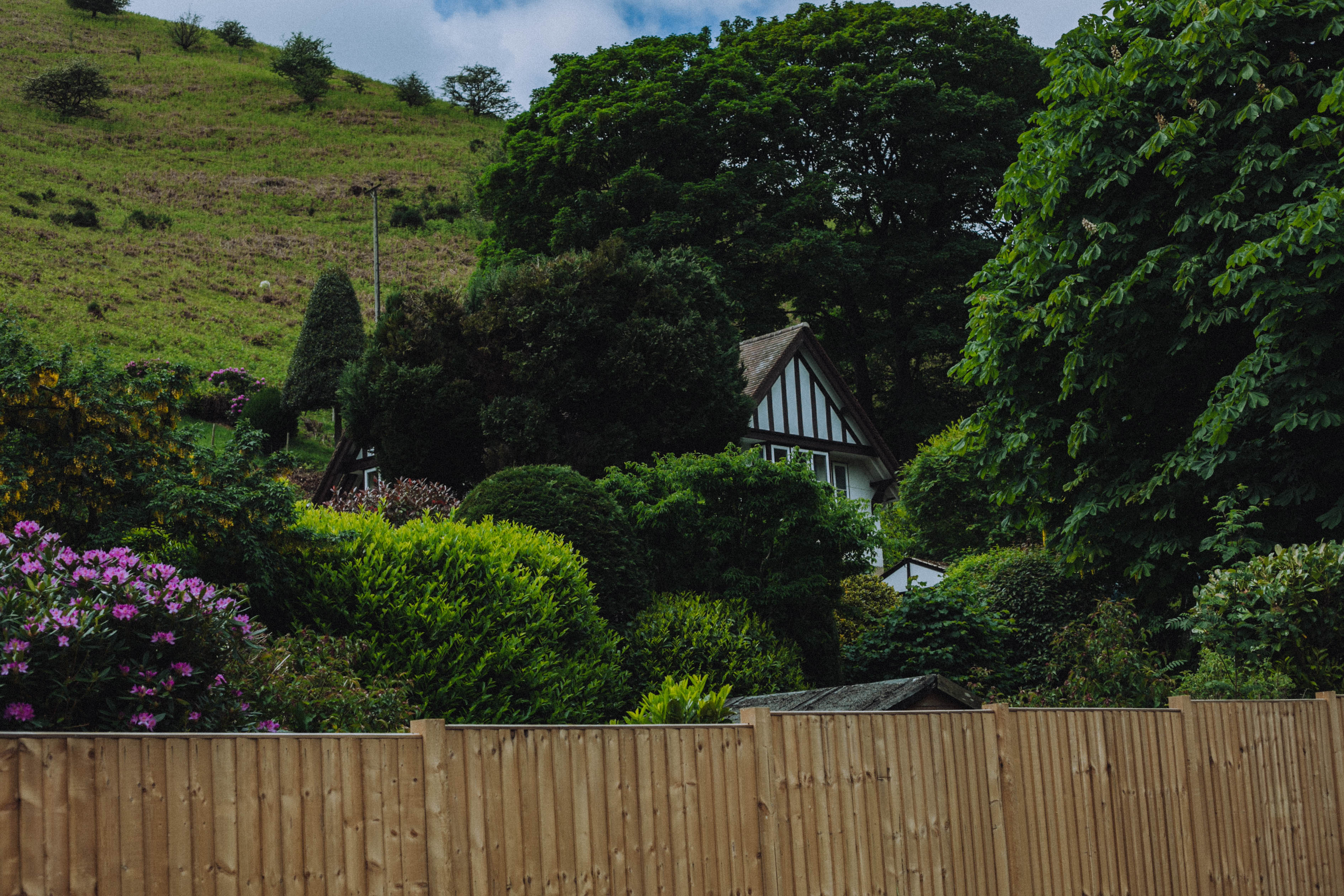 Shropshire Hills 5
