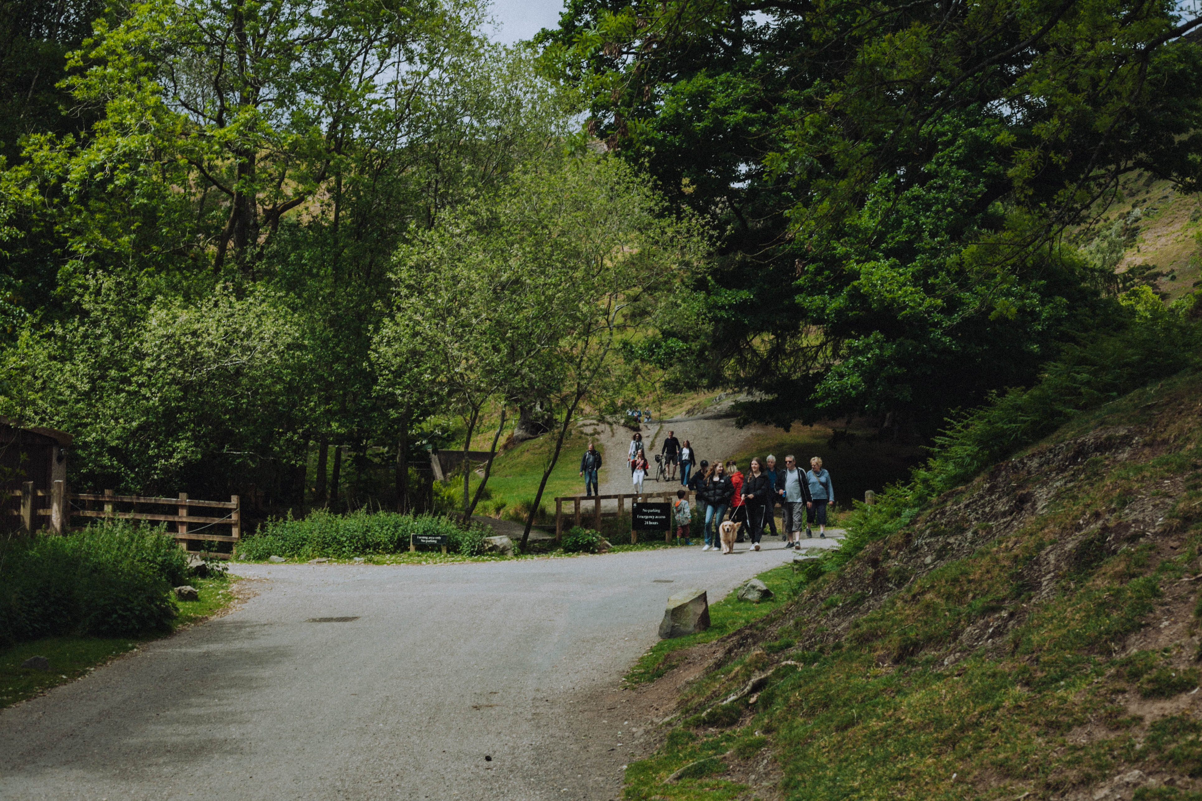 Shropshire Hills 20
