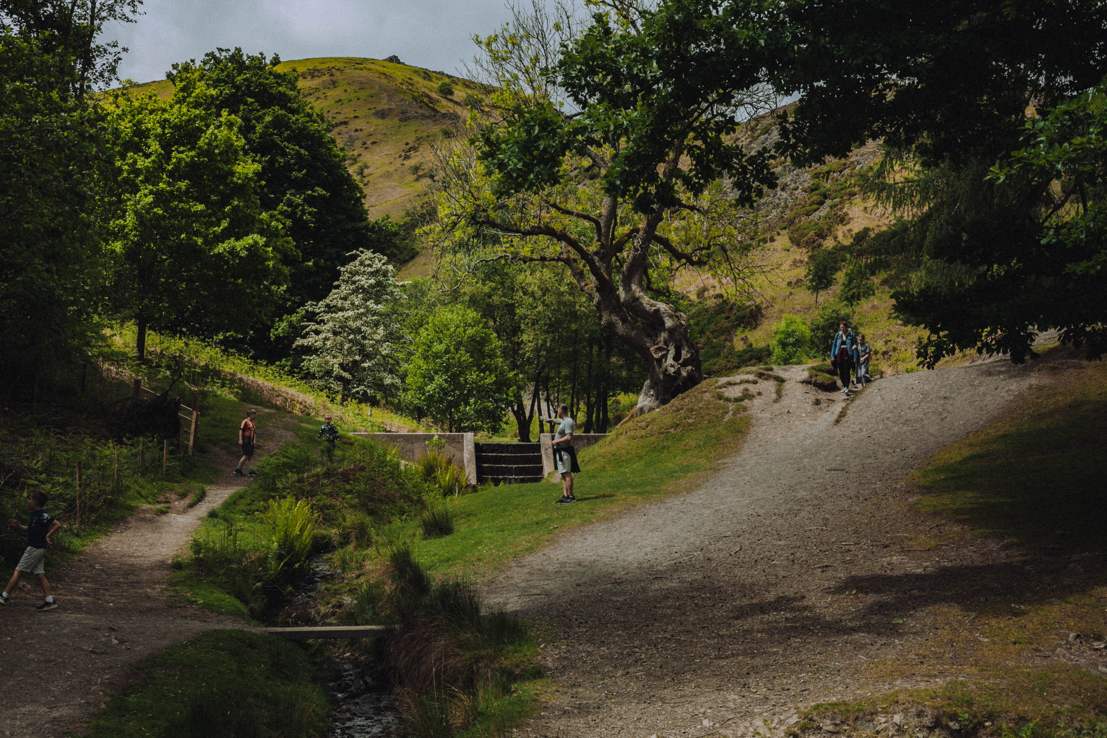 Shropshire Hills 21