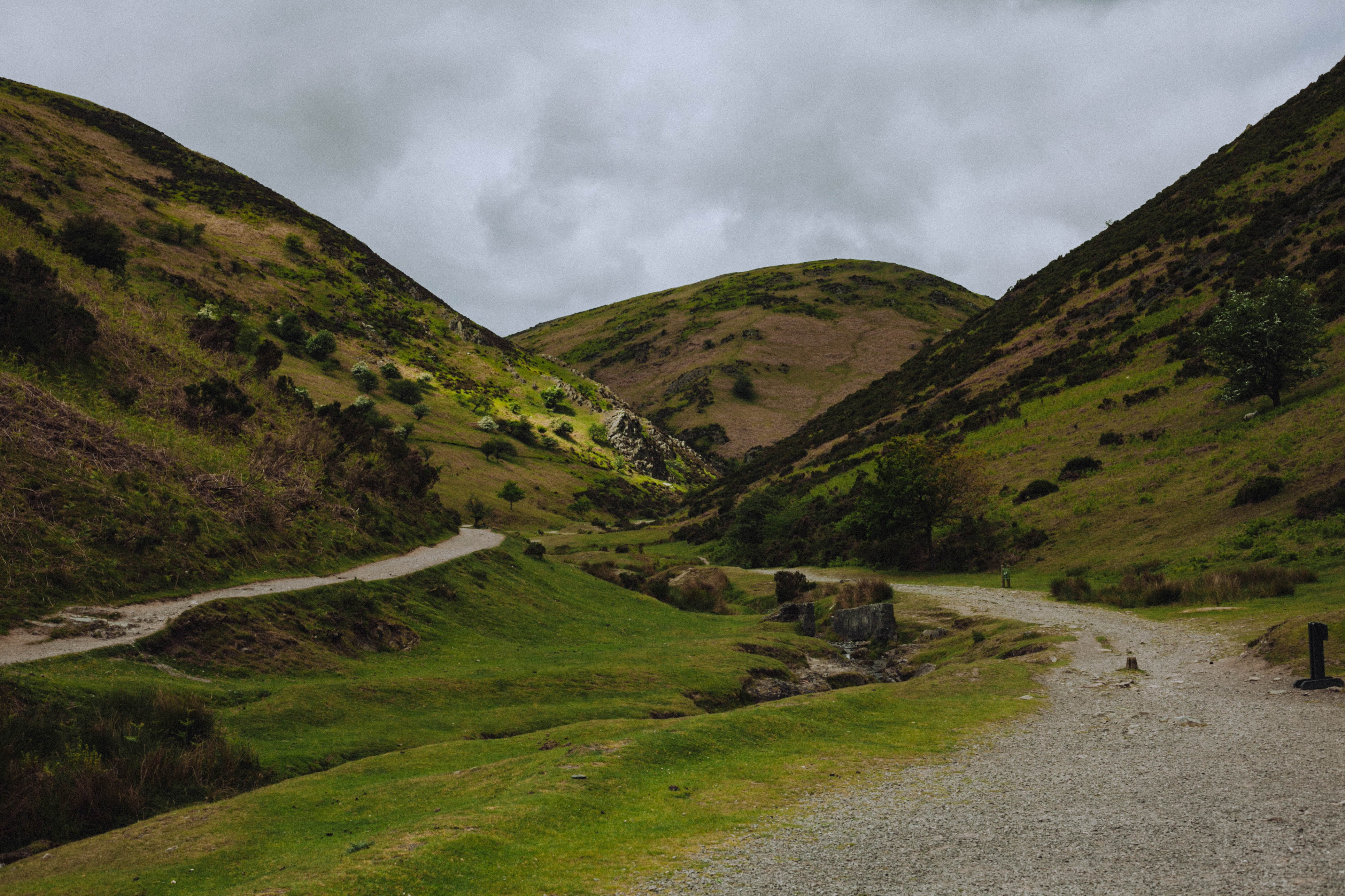 Shropshire Hills 23