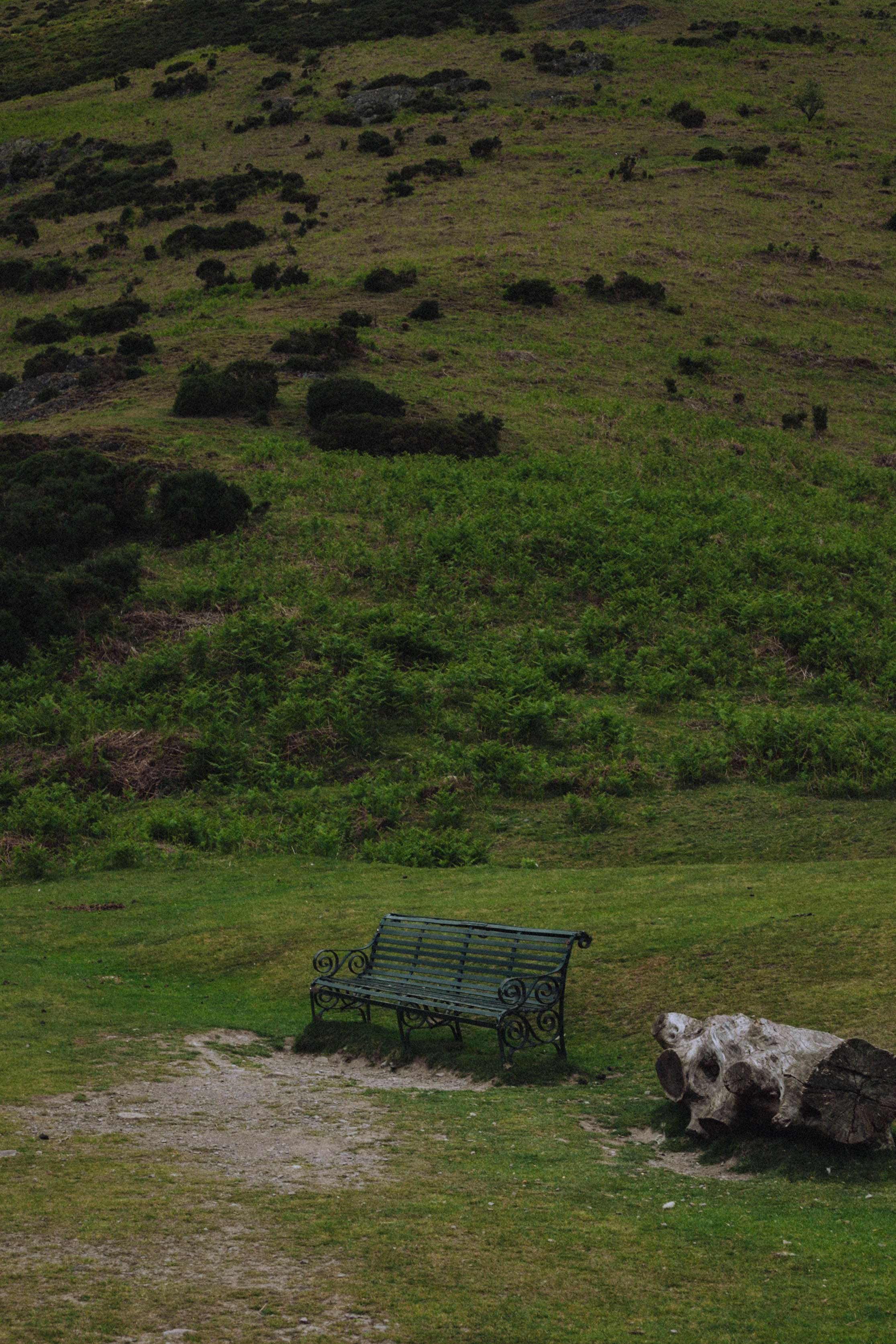 Shropshire Hills 24
