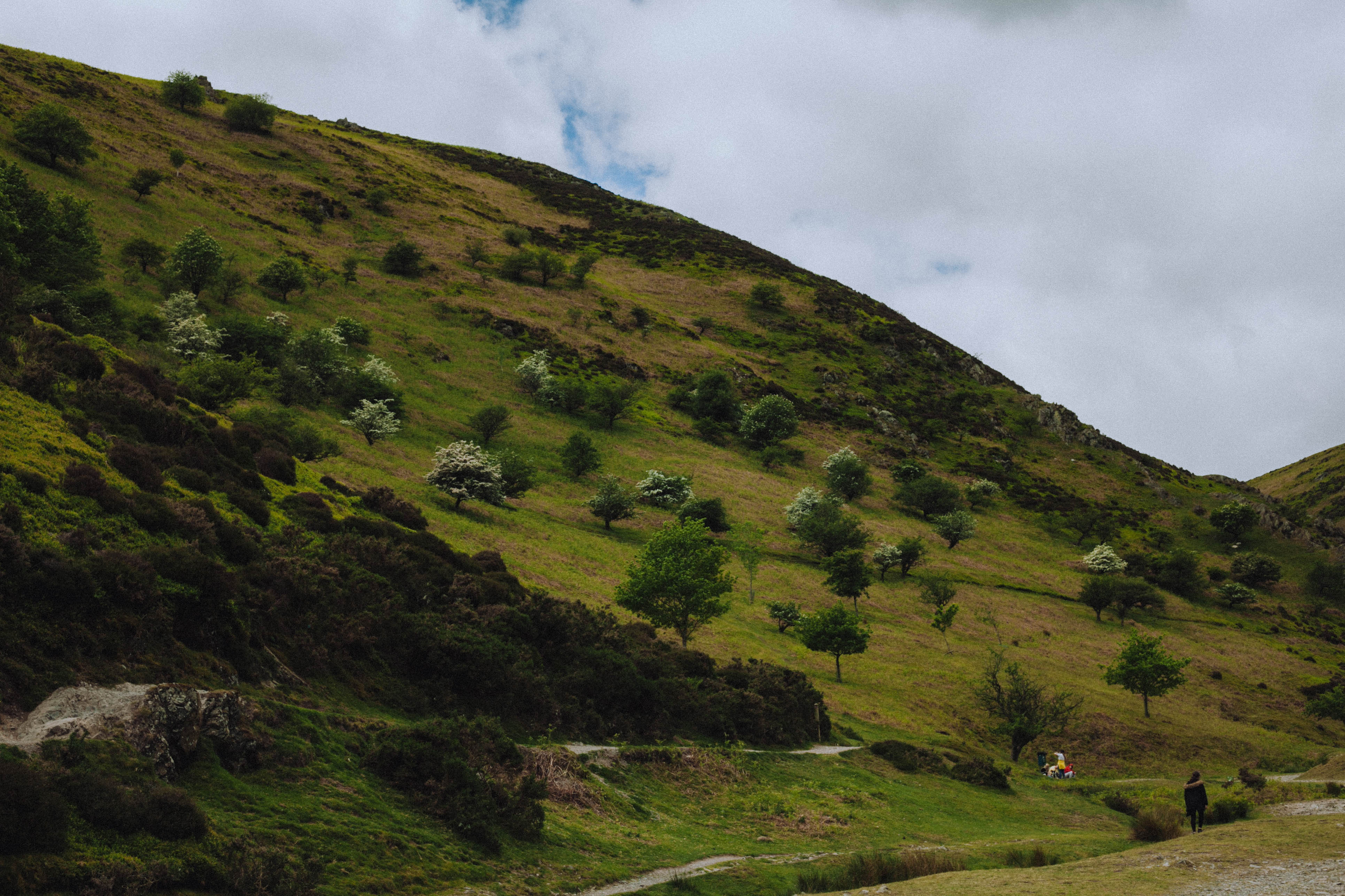 Shropshire Hills 28