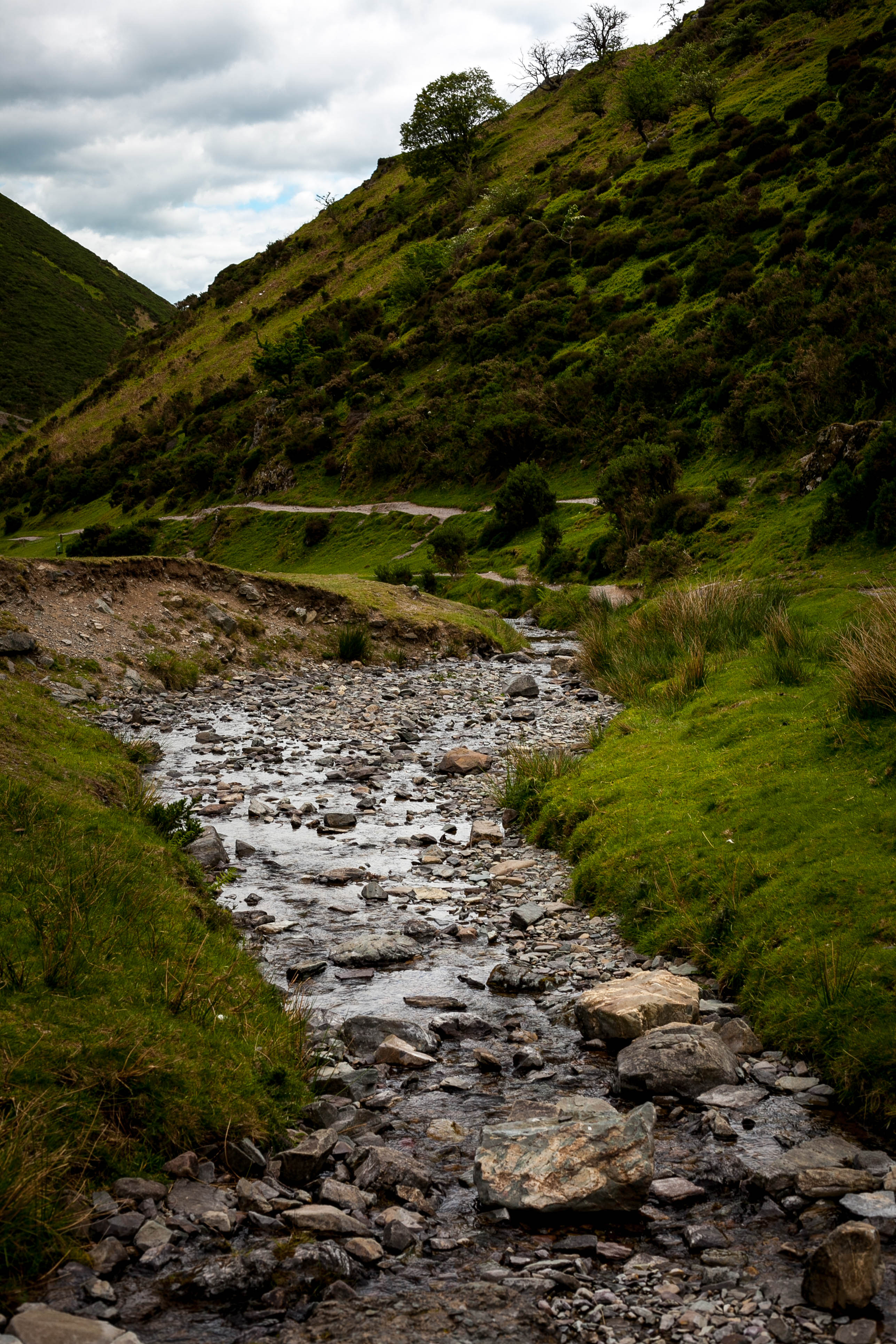 Shropshire Hills 29