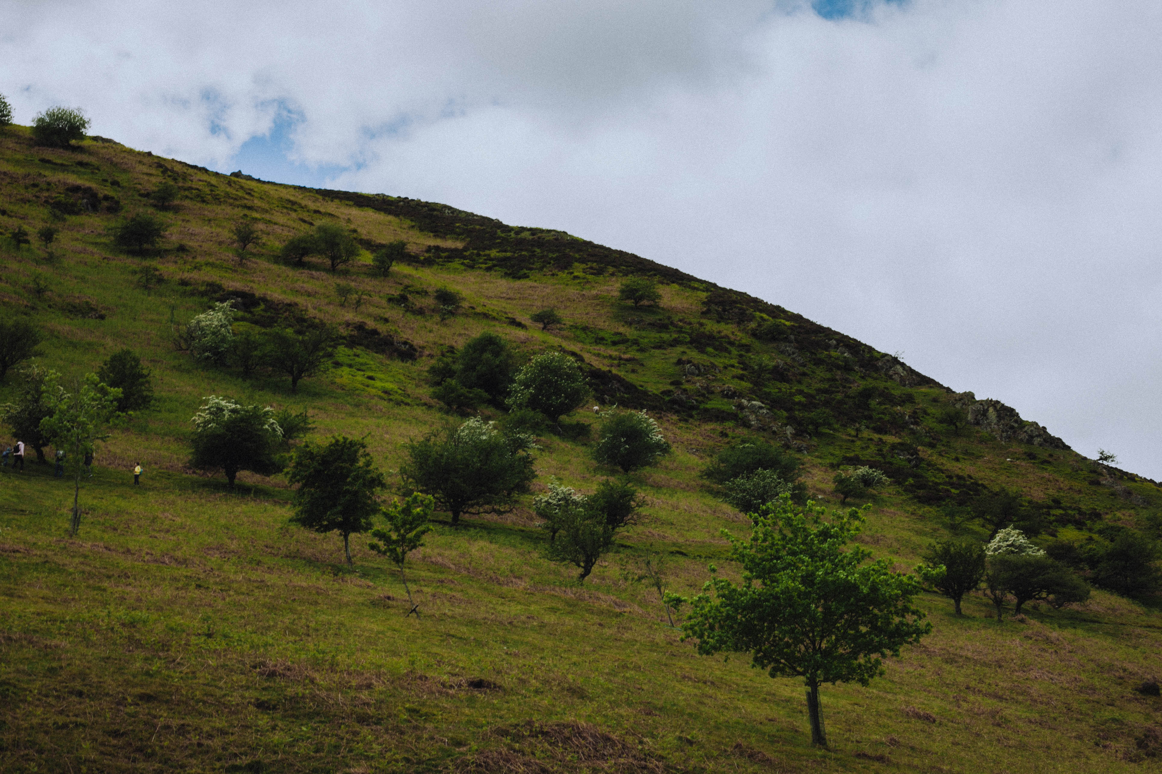 Shropshire Hills 30