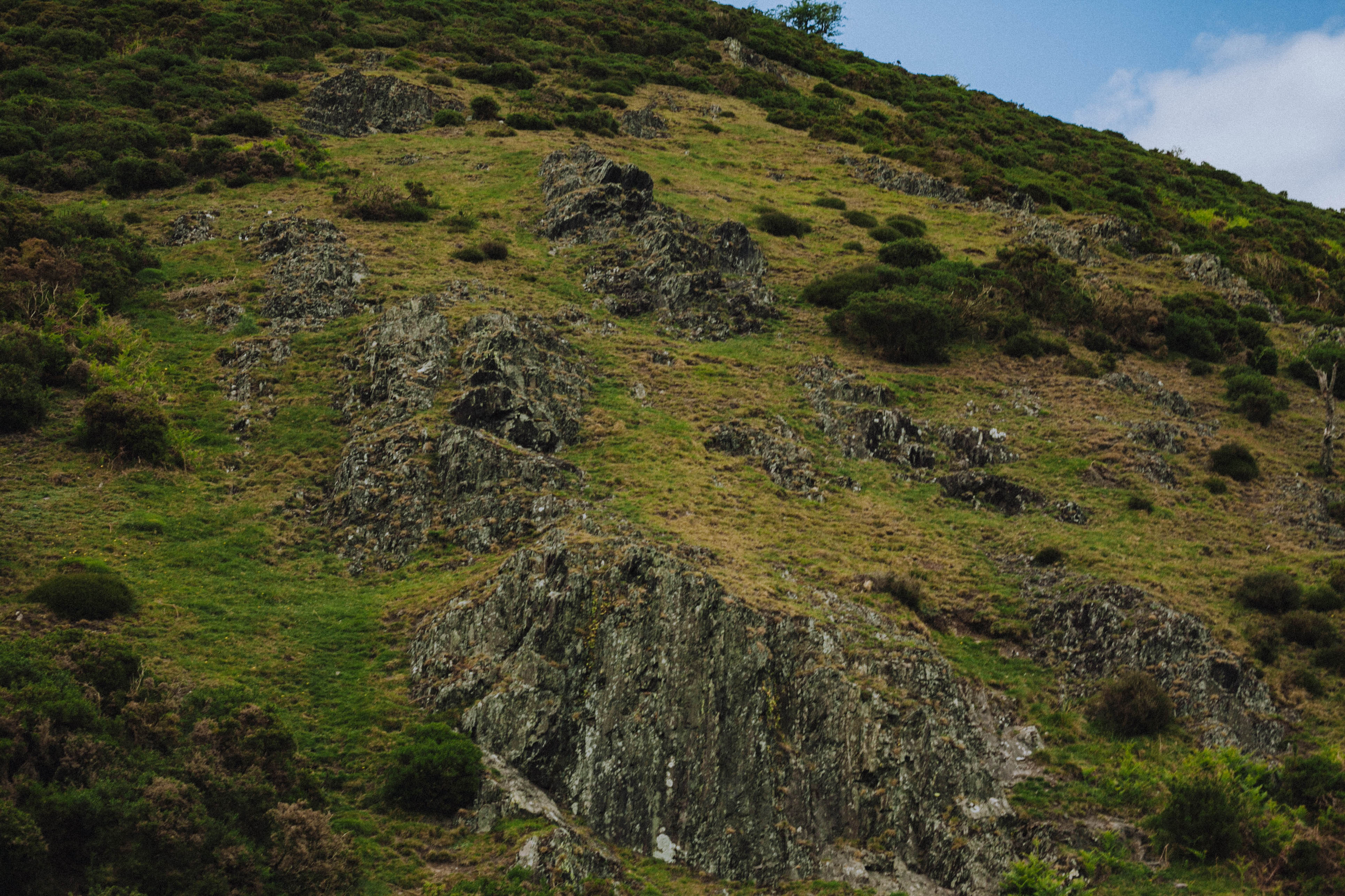 Shropshire Hills 33