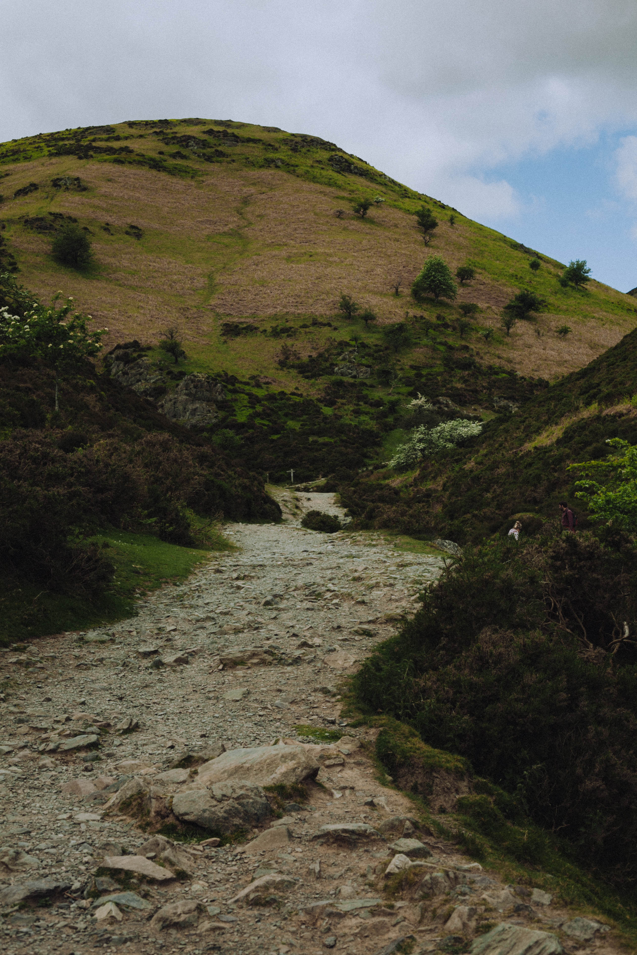 Shropshire Hills 34