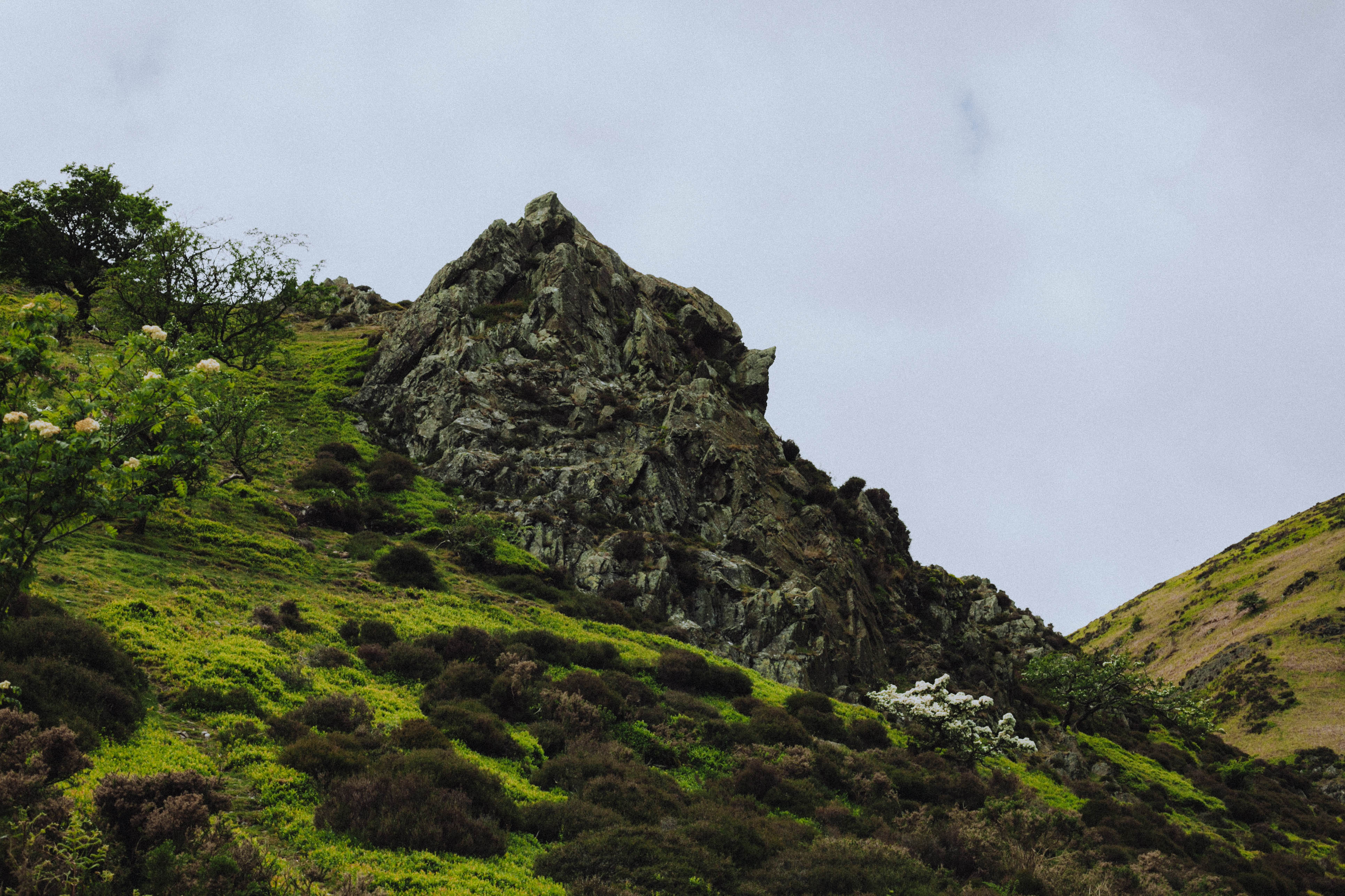 Shropshire Hills 35