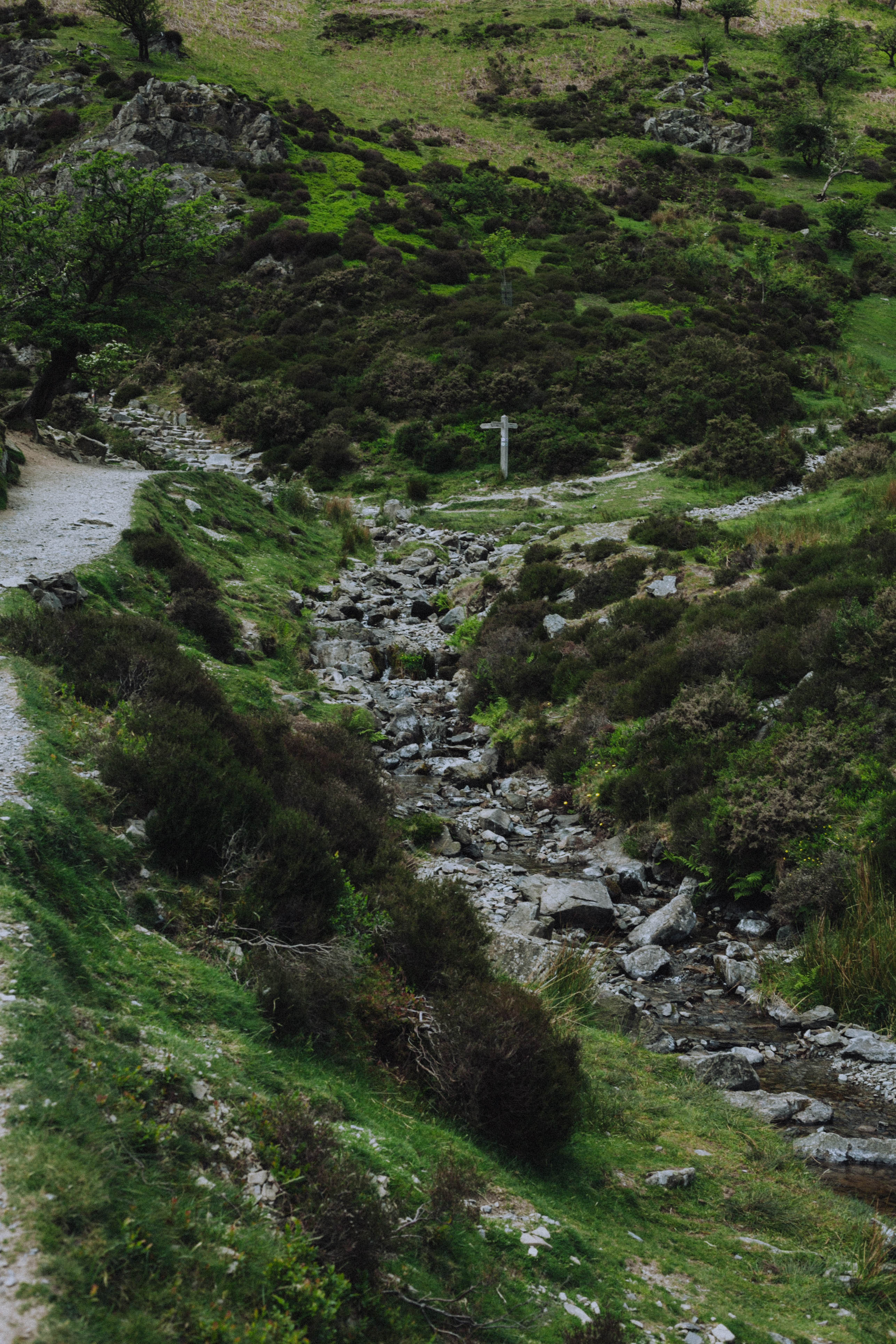 Shropshire Hills 36