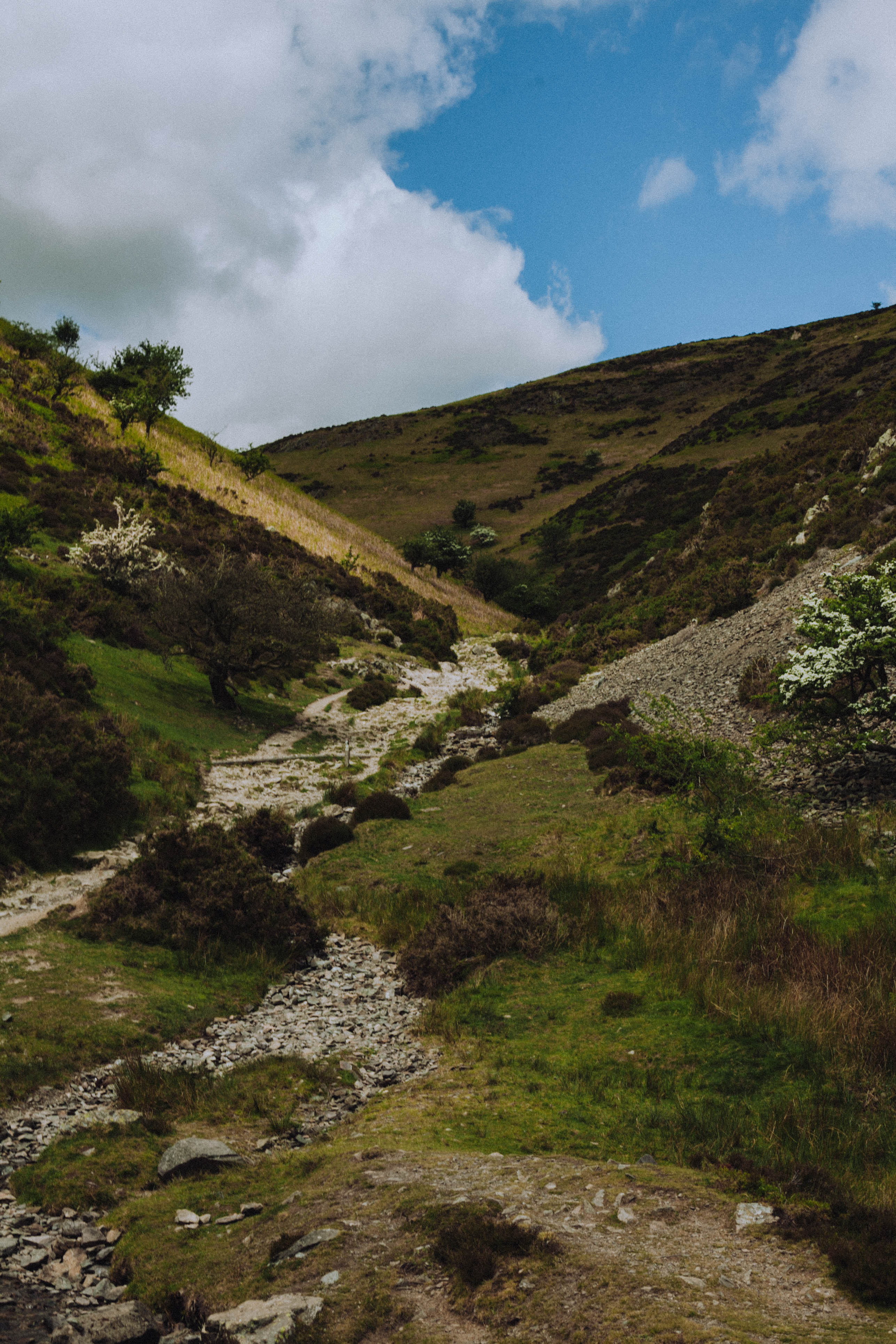 Shropshire Hills 37