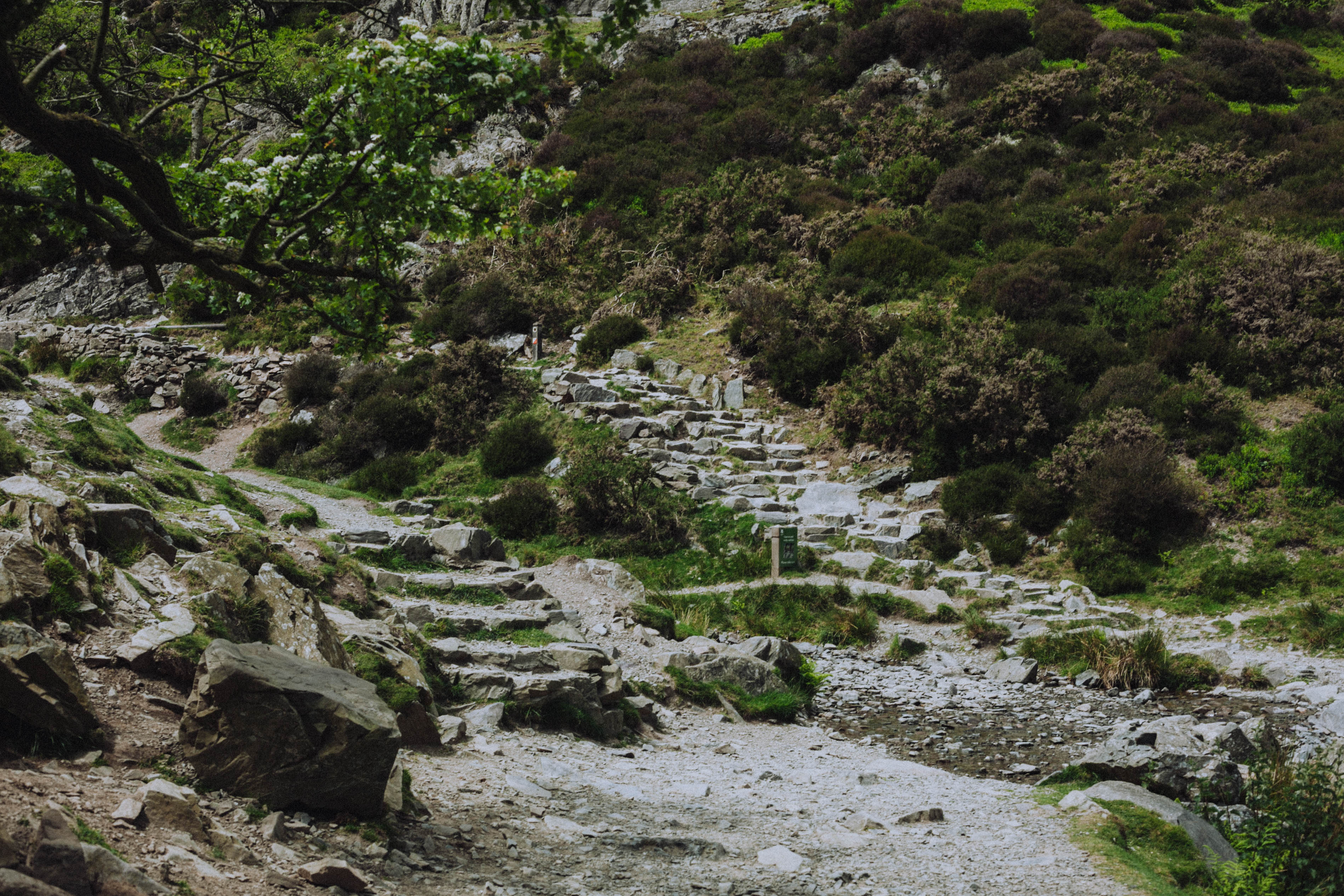 Shropshire Hills 38