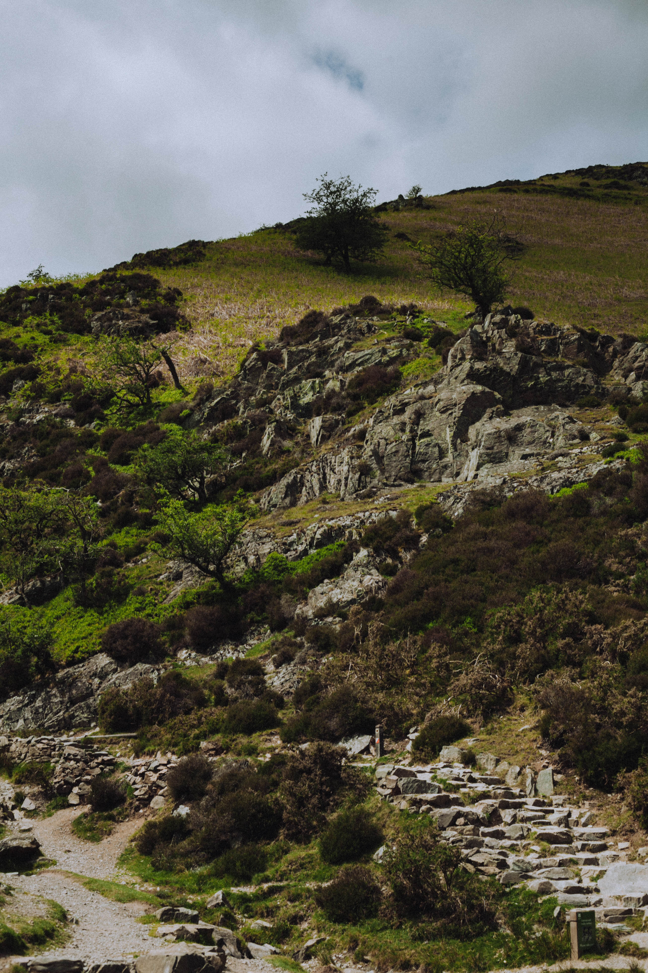 Shropshire Hills 39