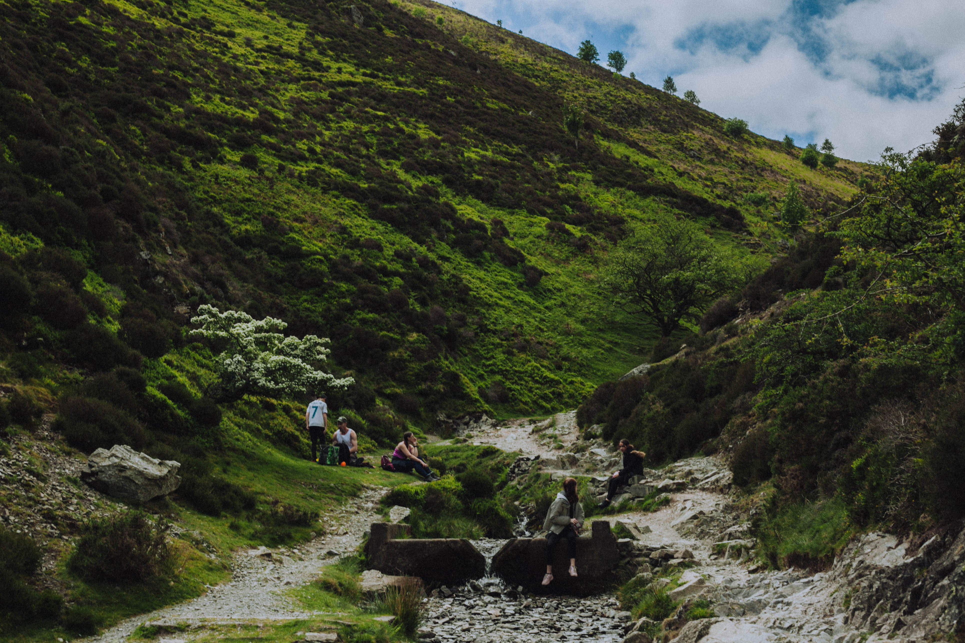 Shropshire Hills 41