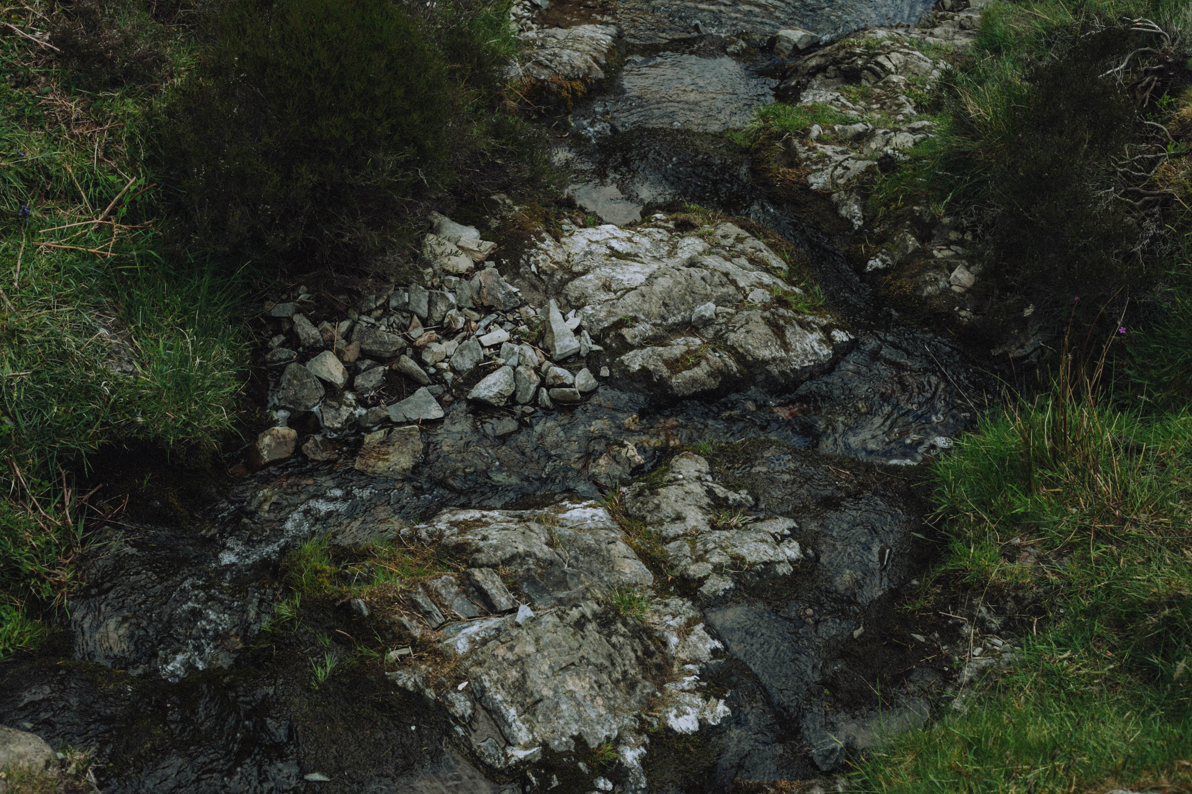 Shropshire Hills 43