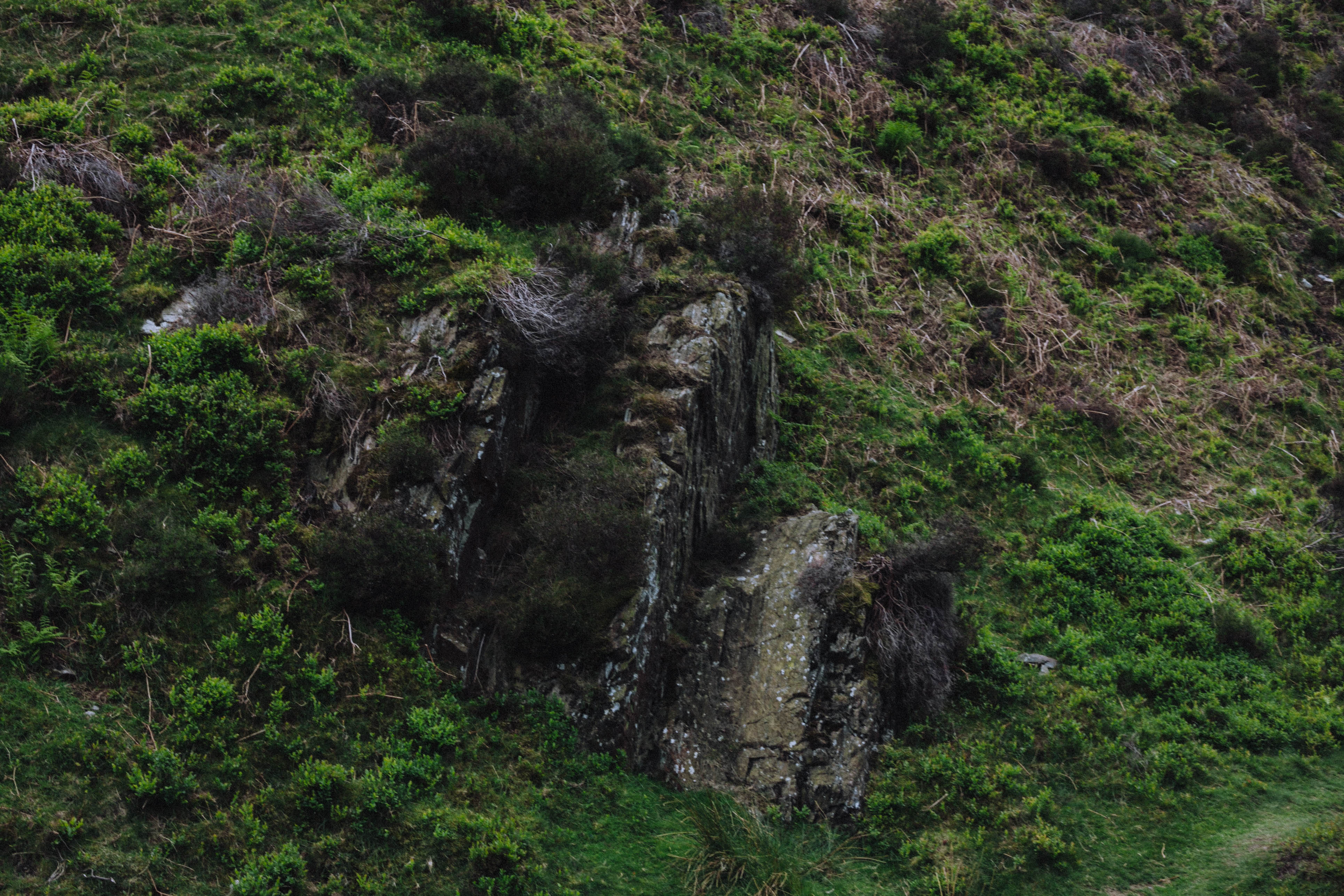 Shropshire Hills 46