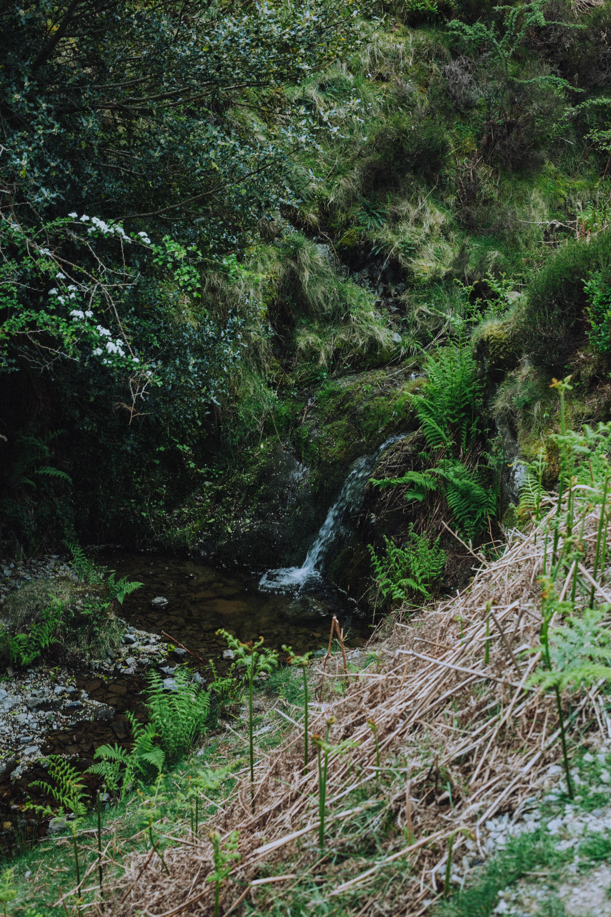 Shropshire Hills 48