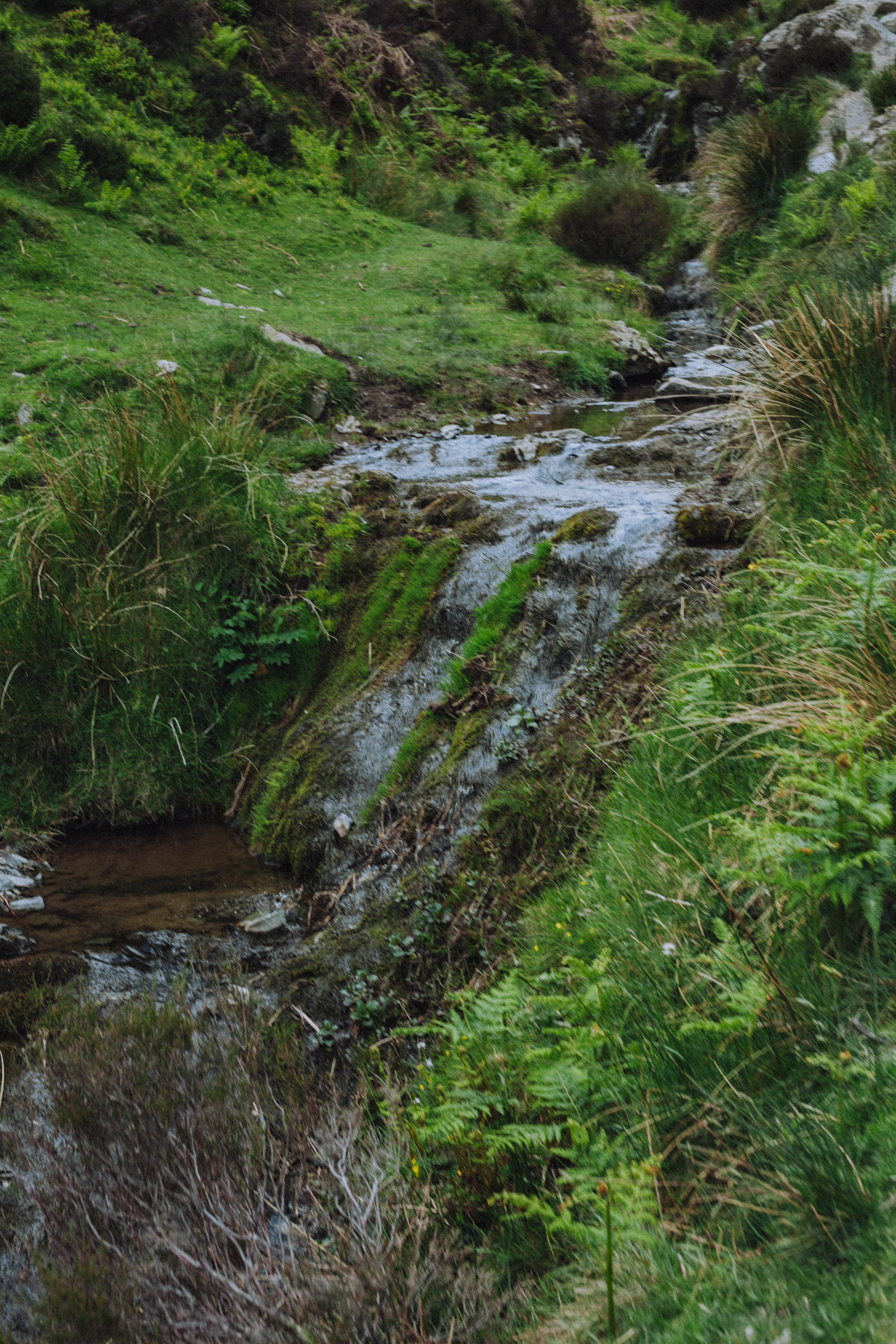 Shropshire Hills 49